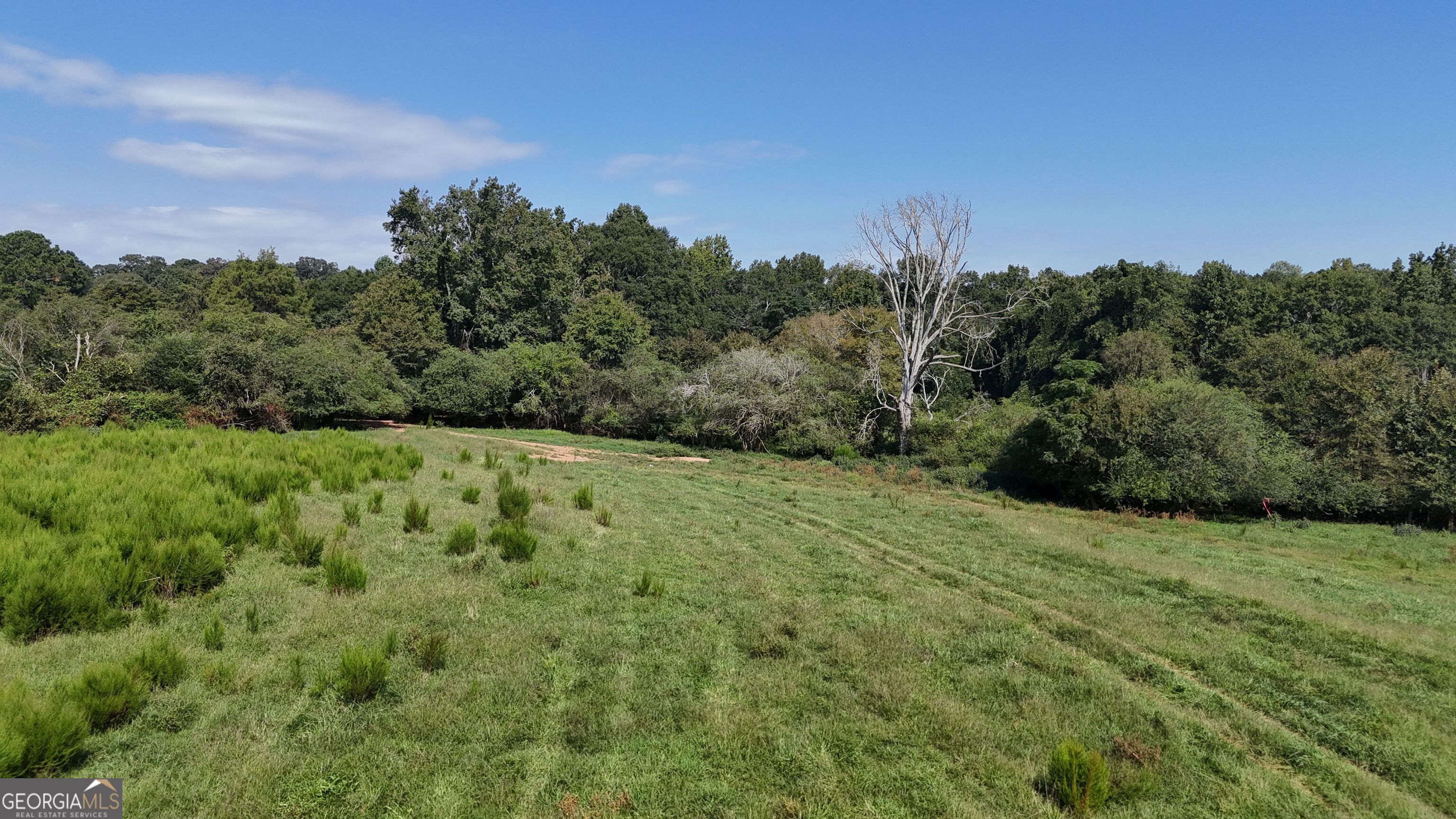 7 Red Rose Court Nicholson, GA 30565 - Photo 26 of 81 a view of a green field with lots of bushes
