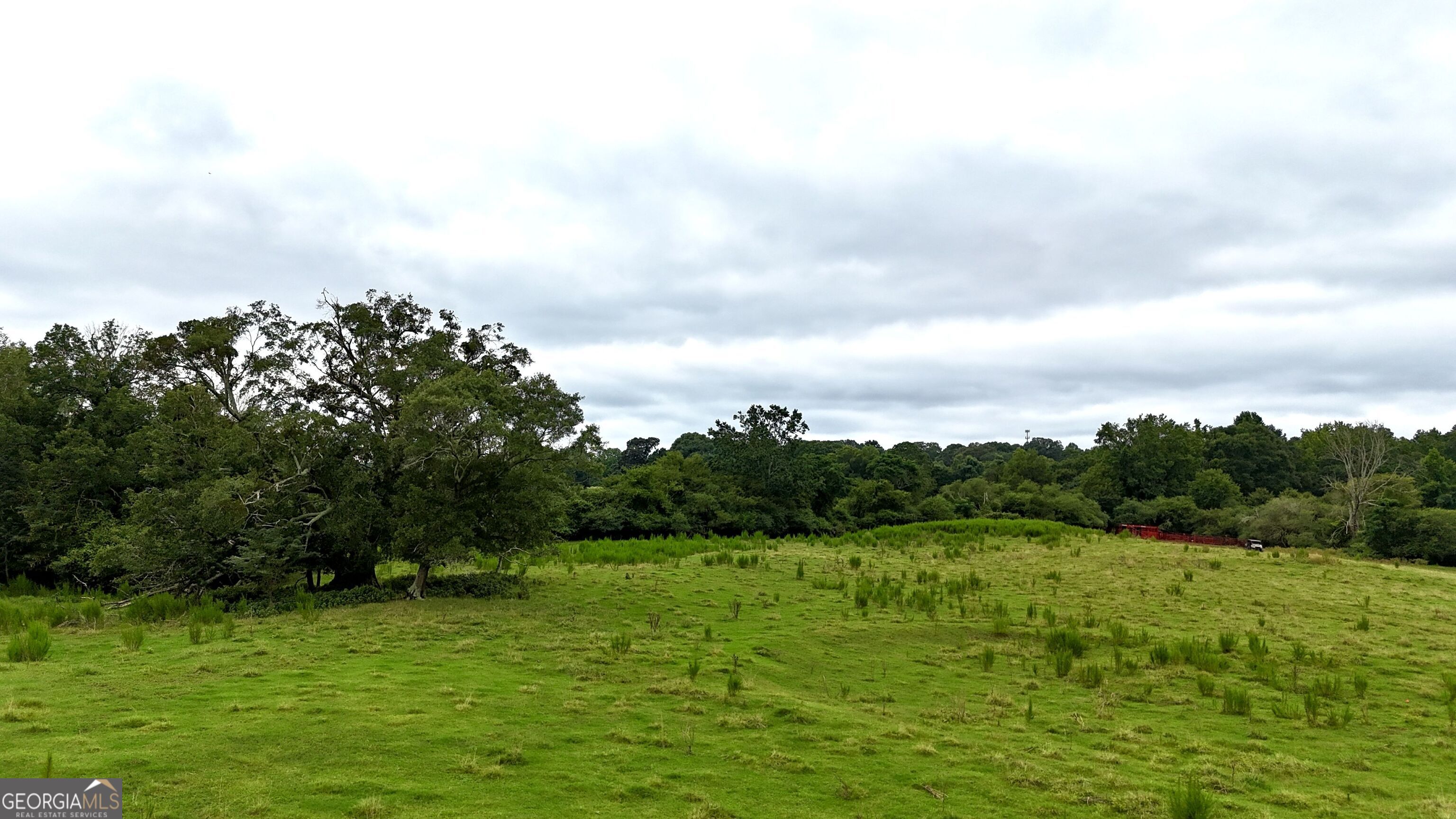 7 Red Rose Court Nicholson, GA 30565 - Photo 30 of 81 a view of a grassy field