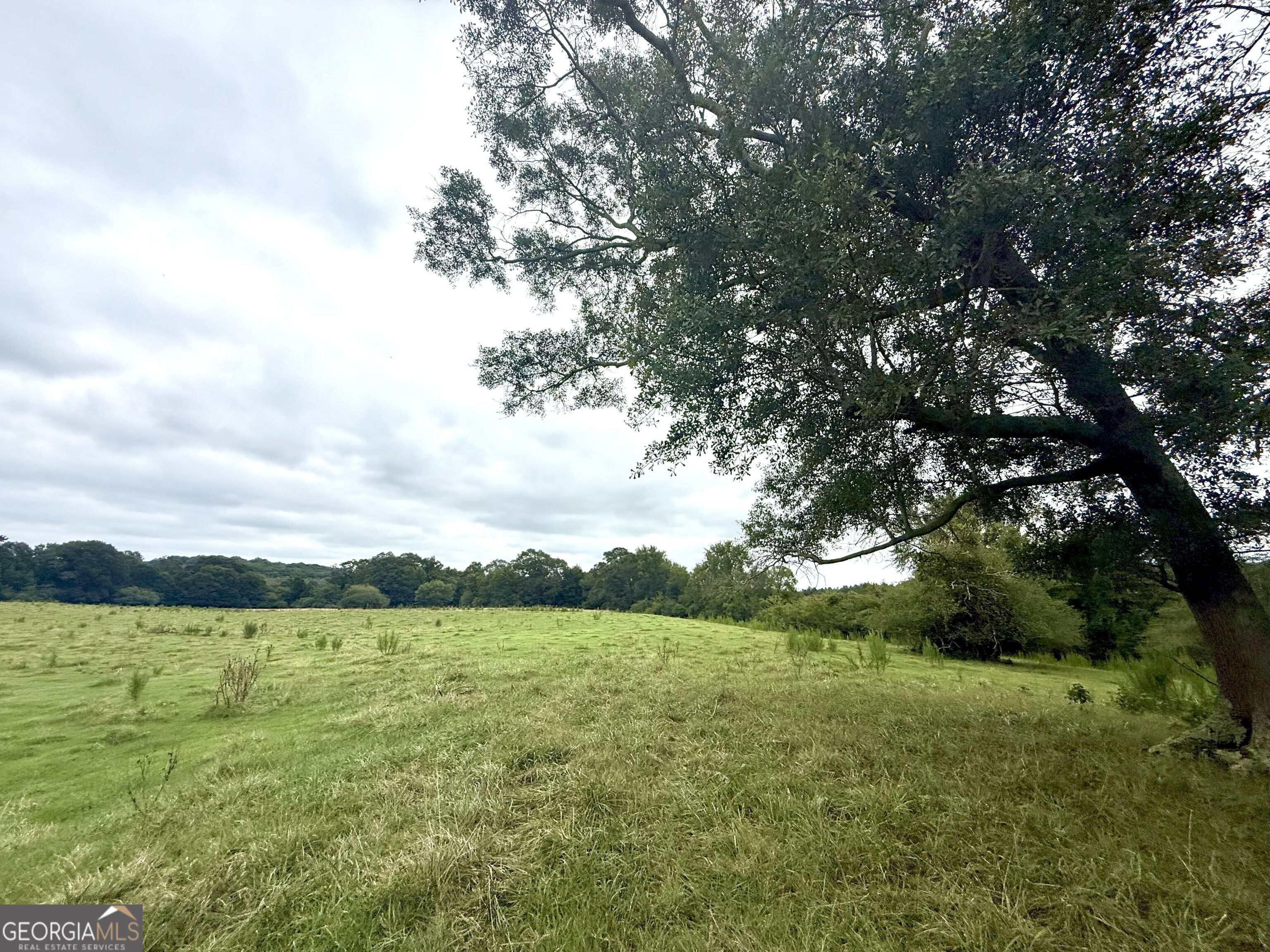 7 Red Rose Court Nicholson, GA 30565 - Photo 3 of 81 a view of a lake with a city