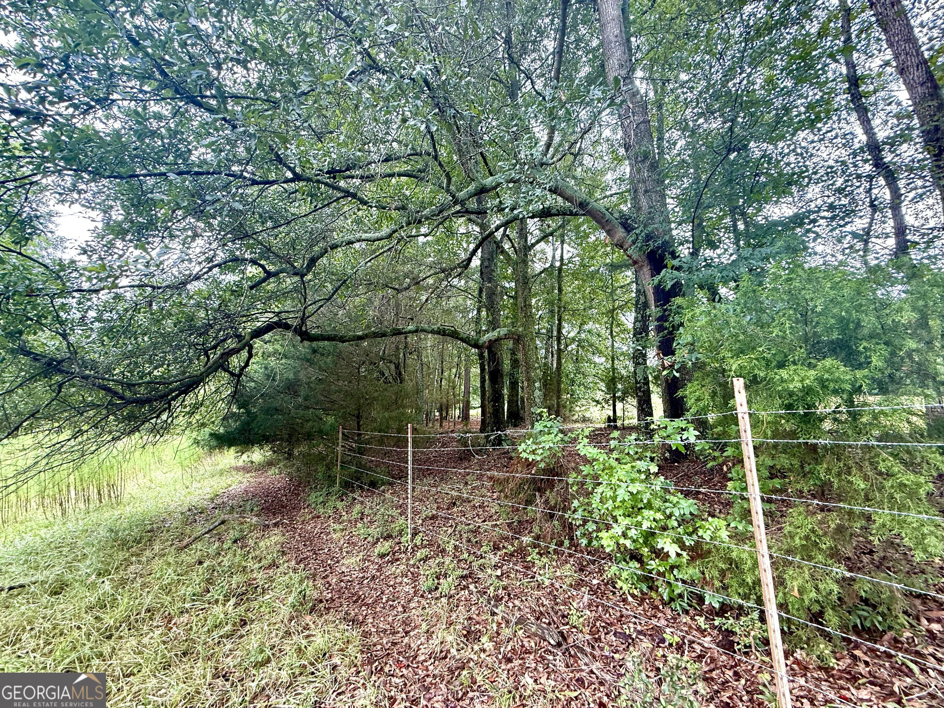 7 Red Rose Court Nicholson, GA 30565 - Photo 31 of 81 a backyard of a house with lots of green space and outdoor seating