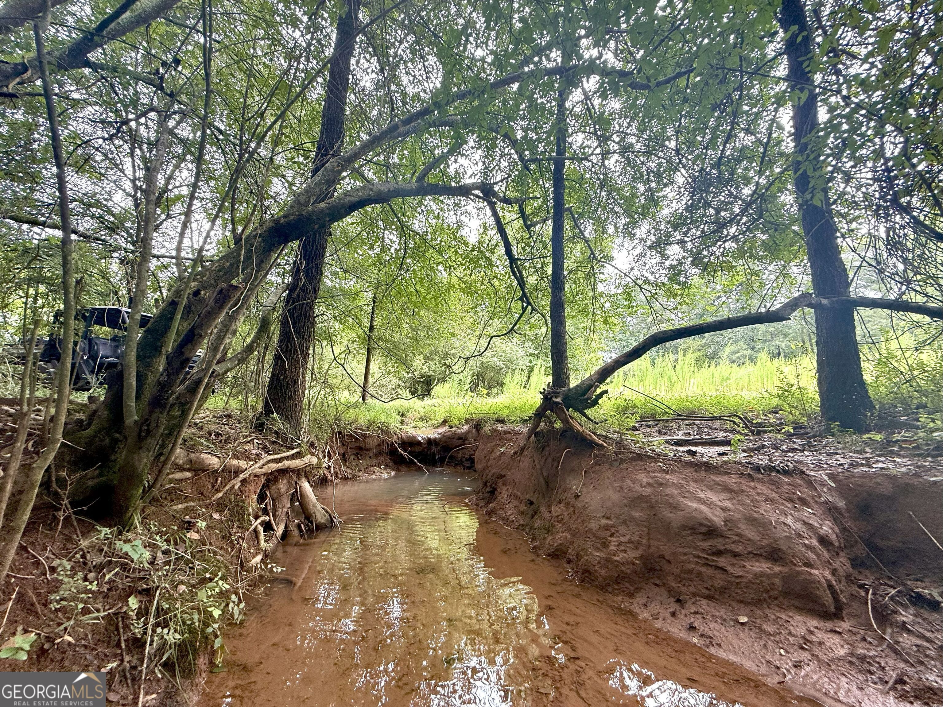 7 Red Rose Court Nicholson, GA 30565 - Photo 33 of 81 a view of a backyard with large trees