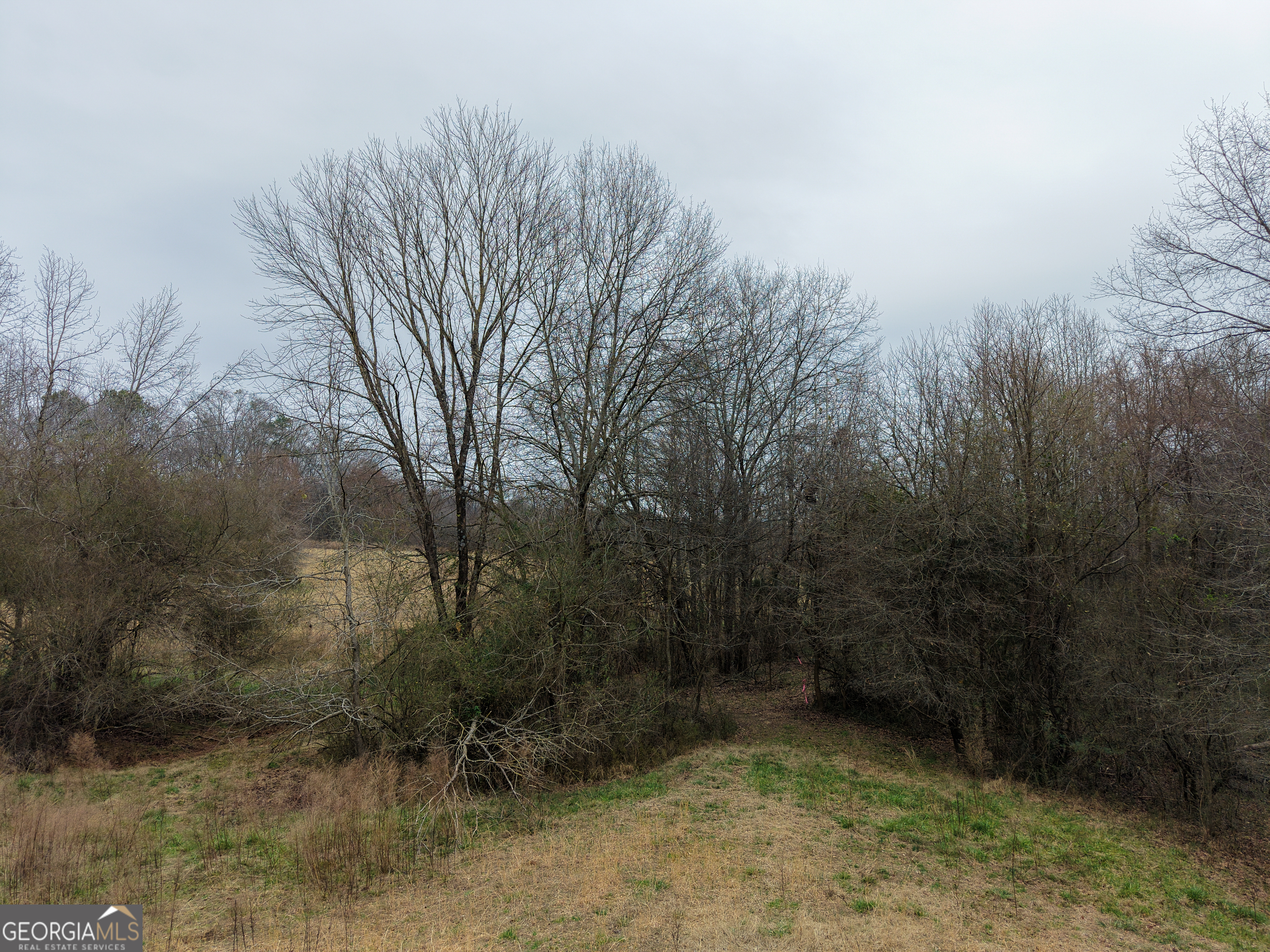 7 Red Rose Court Nicholson, GA 30565 - Photo 38 of 81