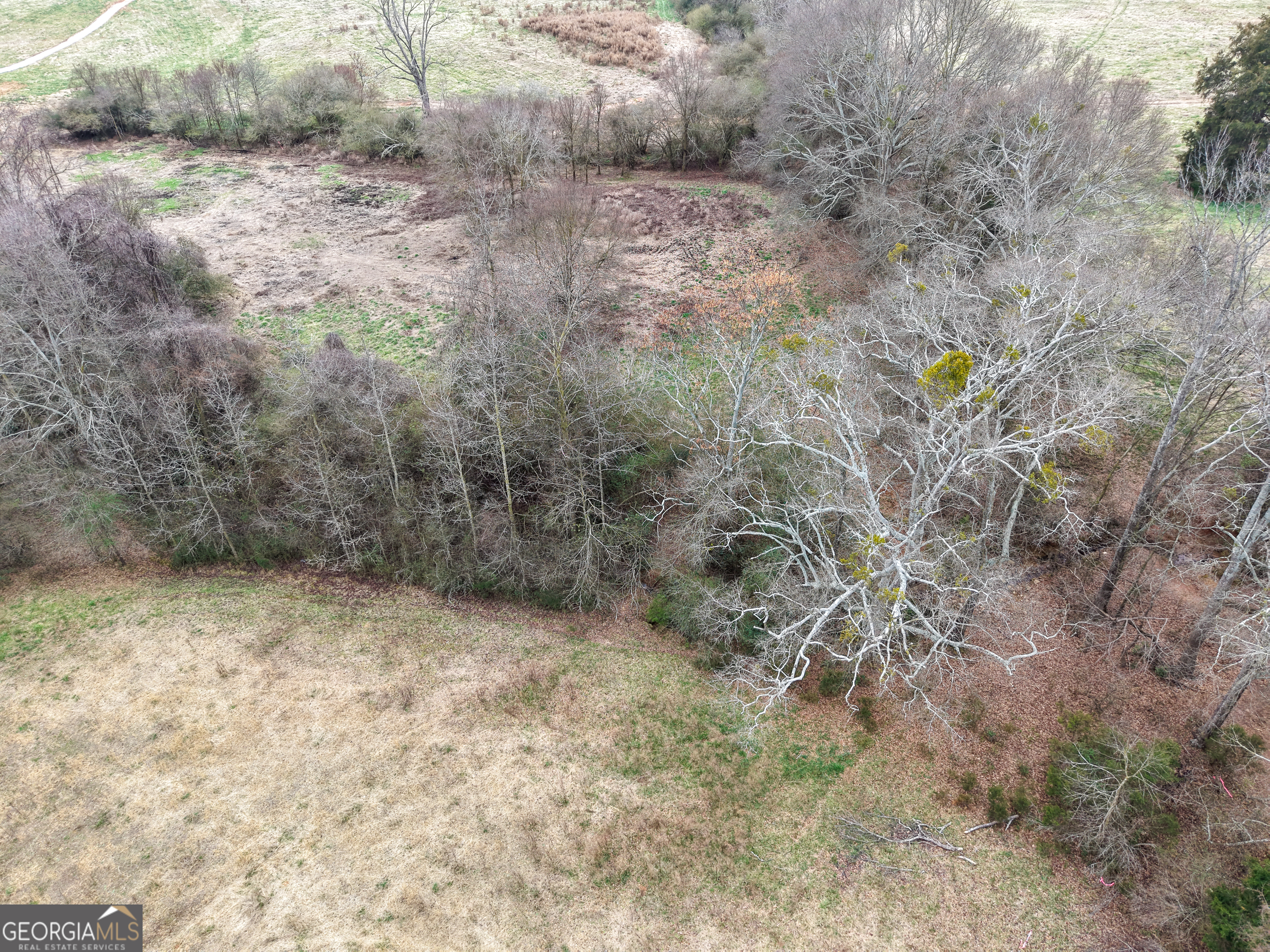 7 Red Rose Court Nicholson, GA 30565 - Photo 39 of 81 a view of outdoor space and tree