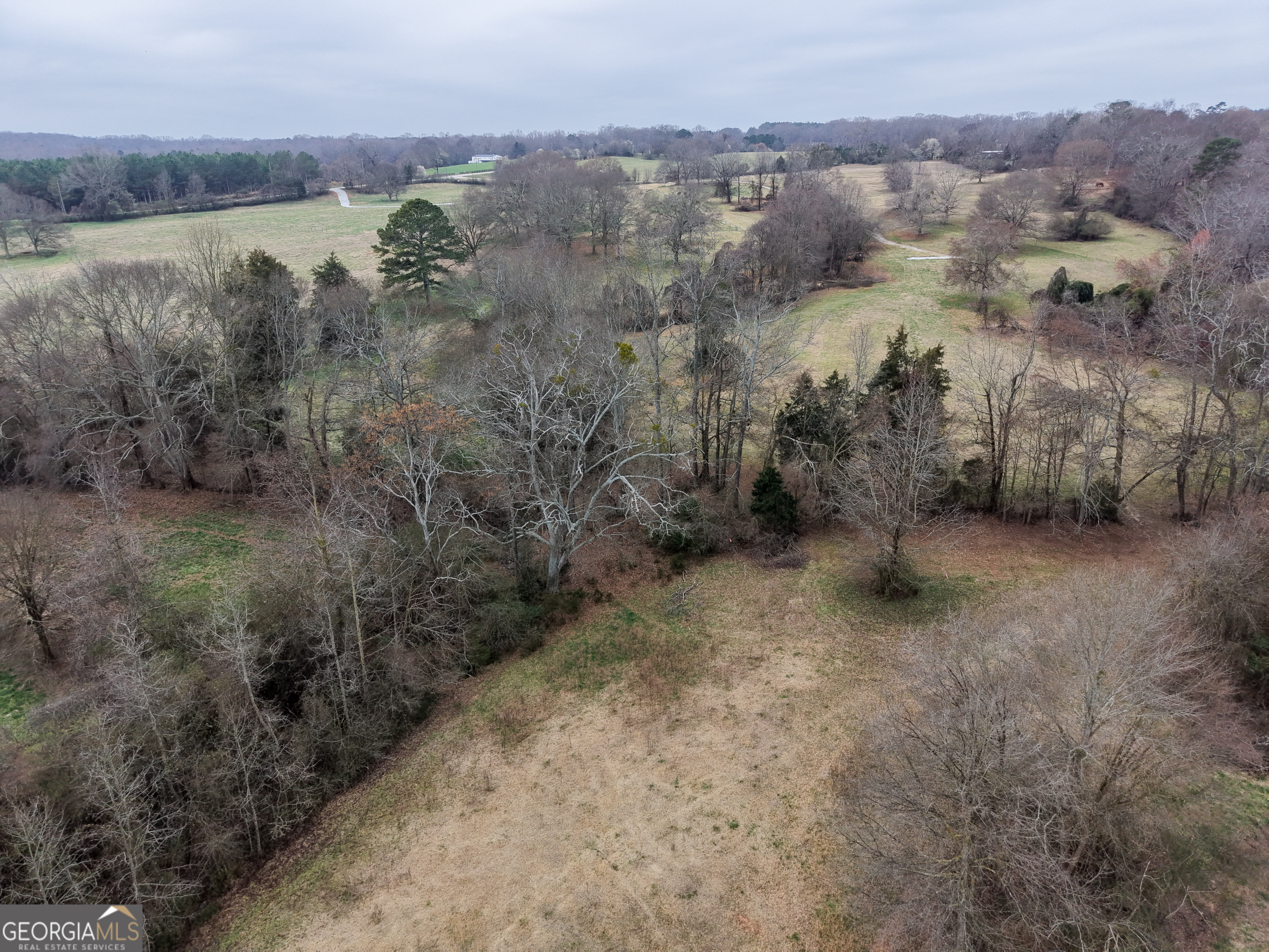 7 Red Rose Court Nicholson, GA 30565 - Photo 40 of 81