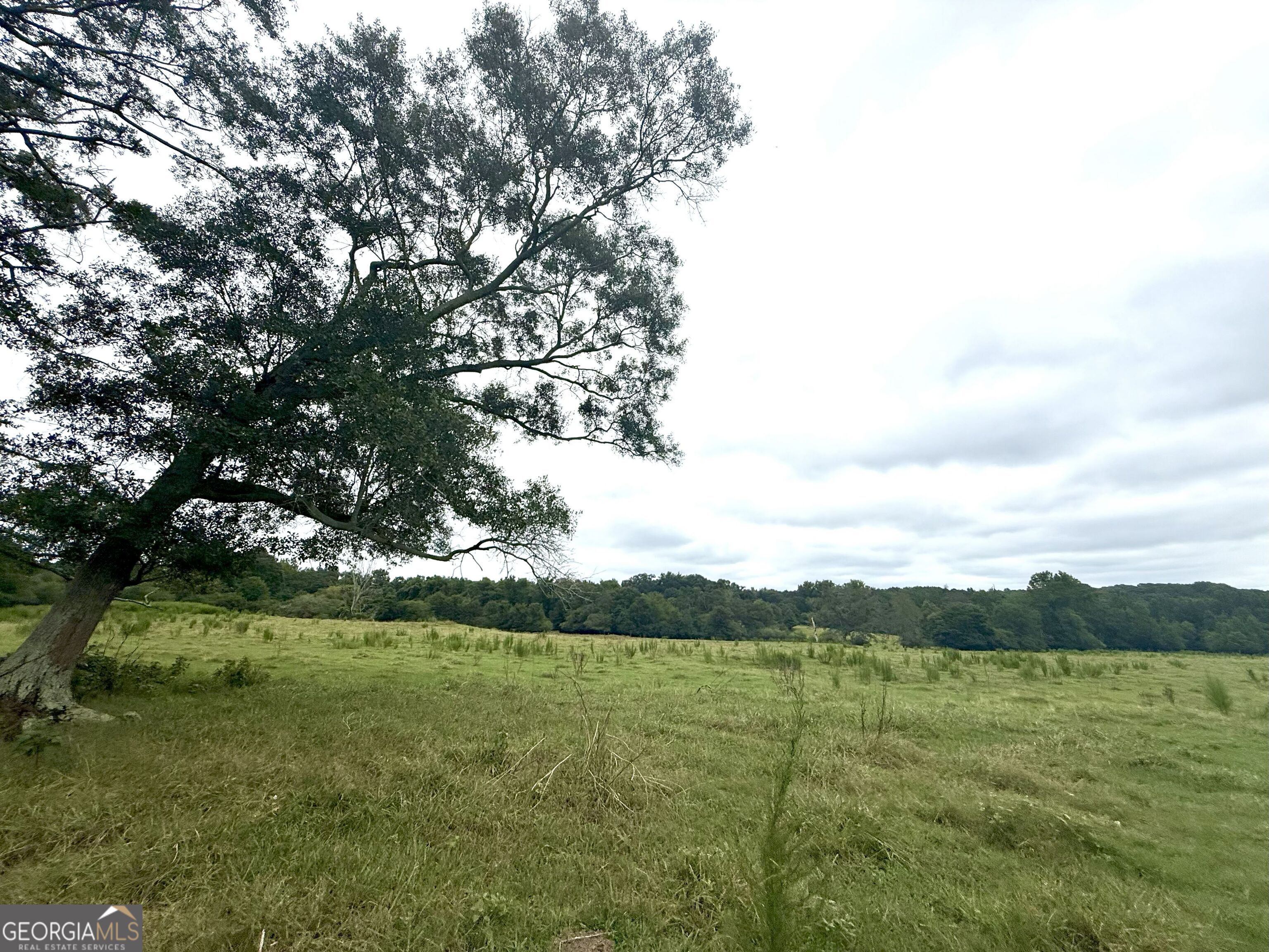 7 Red Rose Court Nicholson, GA 30565 - Photo 4 of 81 a view of lake with mountain