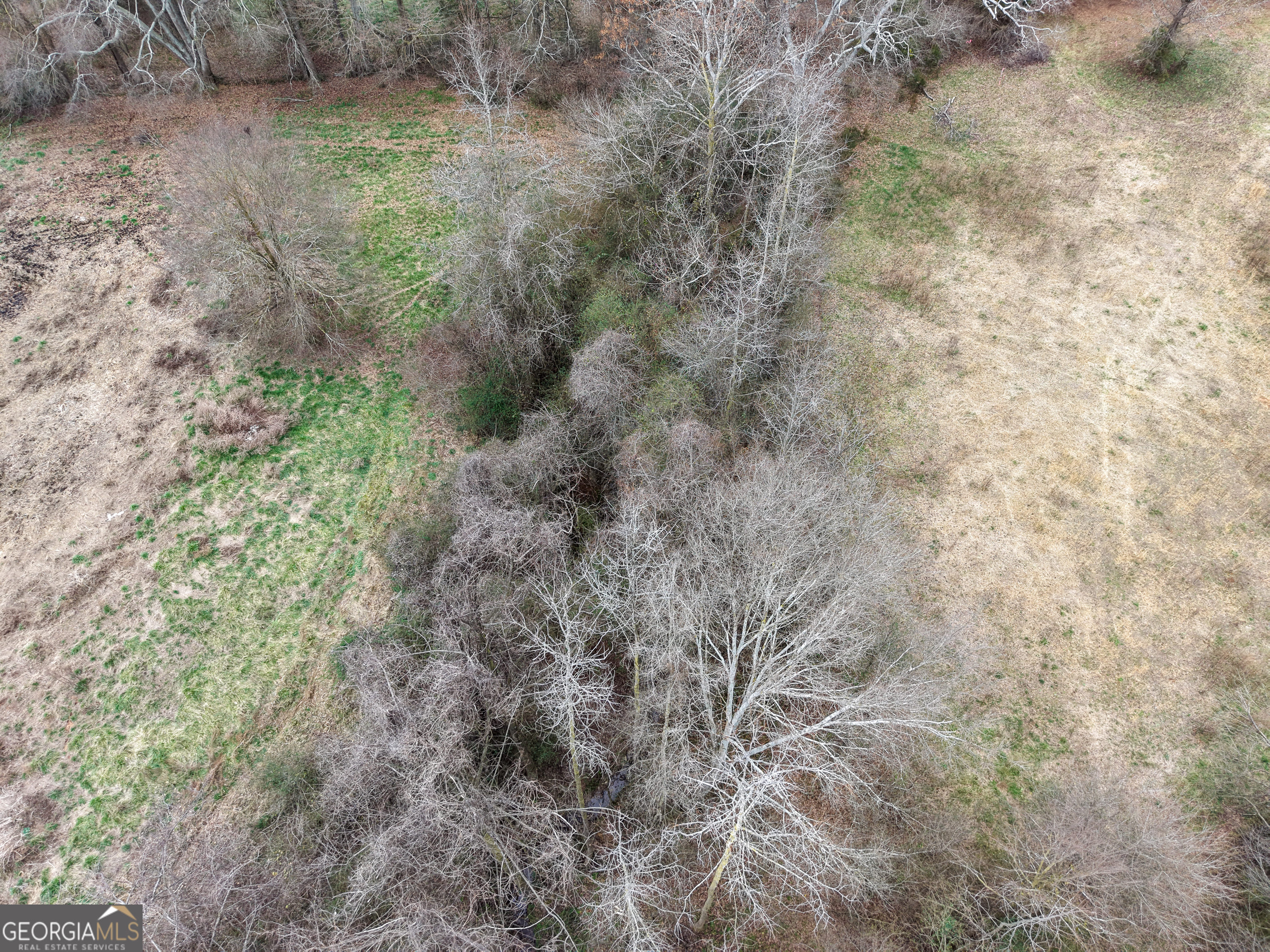 7 Red Rose Court Nicholson, GA 30565 - Photo 41 of 81