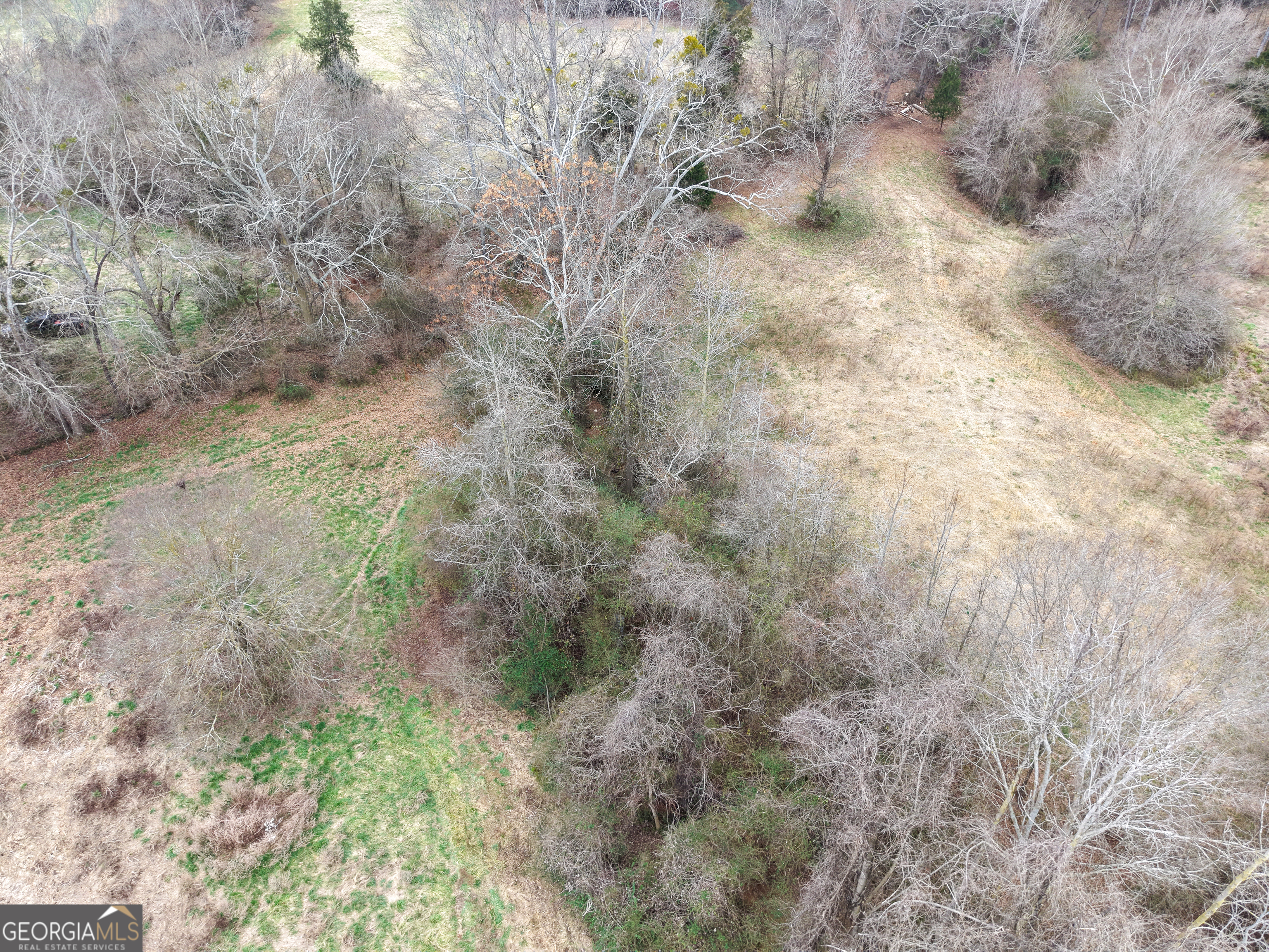 7 Red Rose Court Nicholson, GA 30565 - Photo 42 of 81