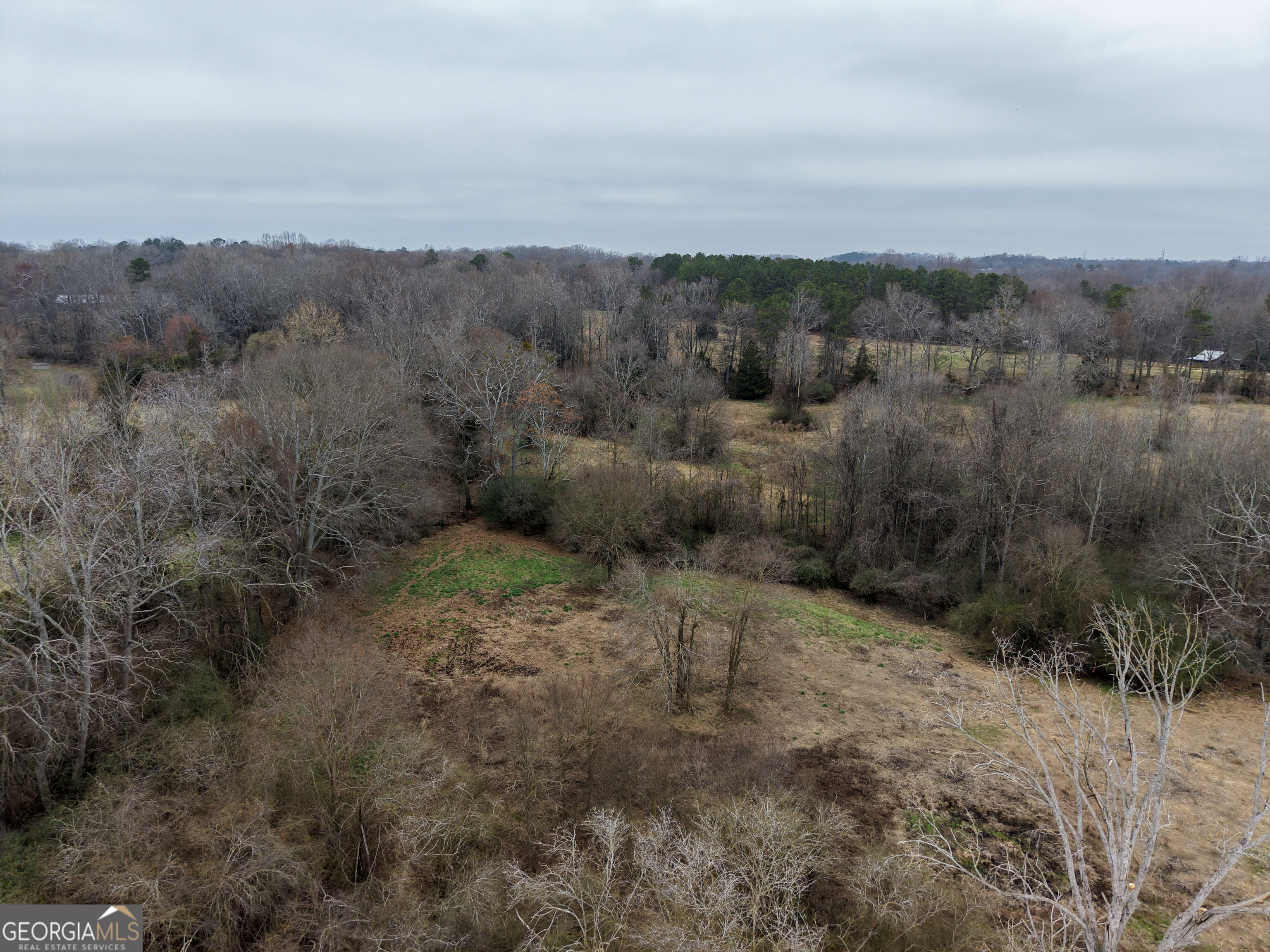 7 Red Rose Court Nicholson, GA 30565 - Photo 43 of 81 a view of a dry yard with trees