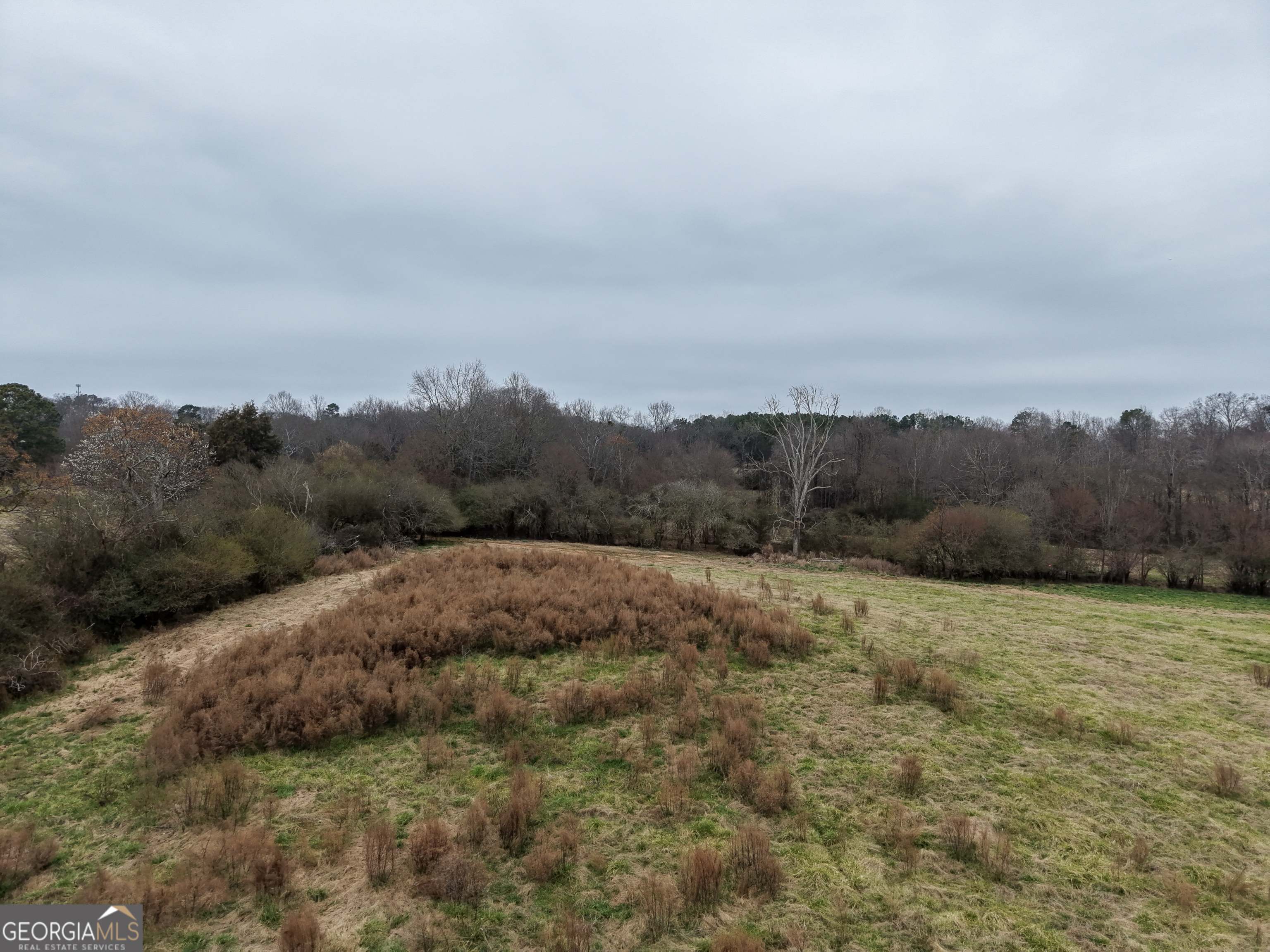 7 Red Rose Court Nicholson, GA 30565 - Photo 44 of 81