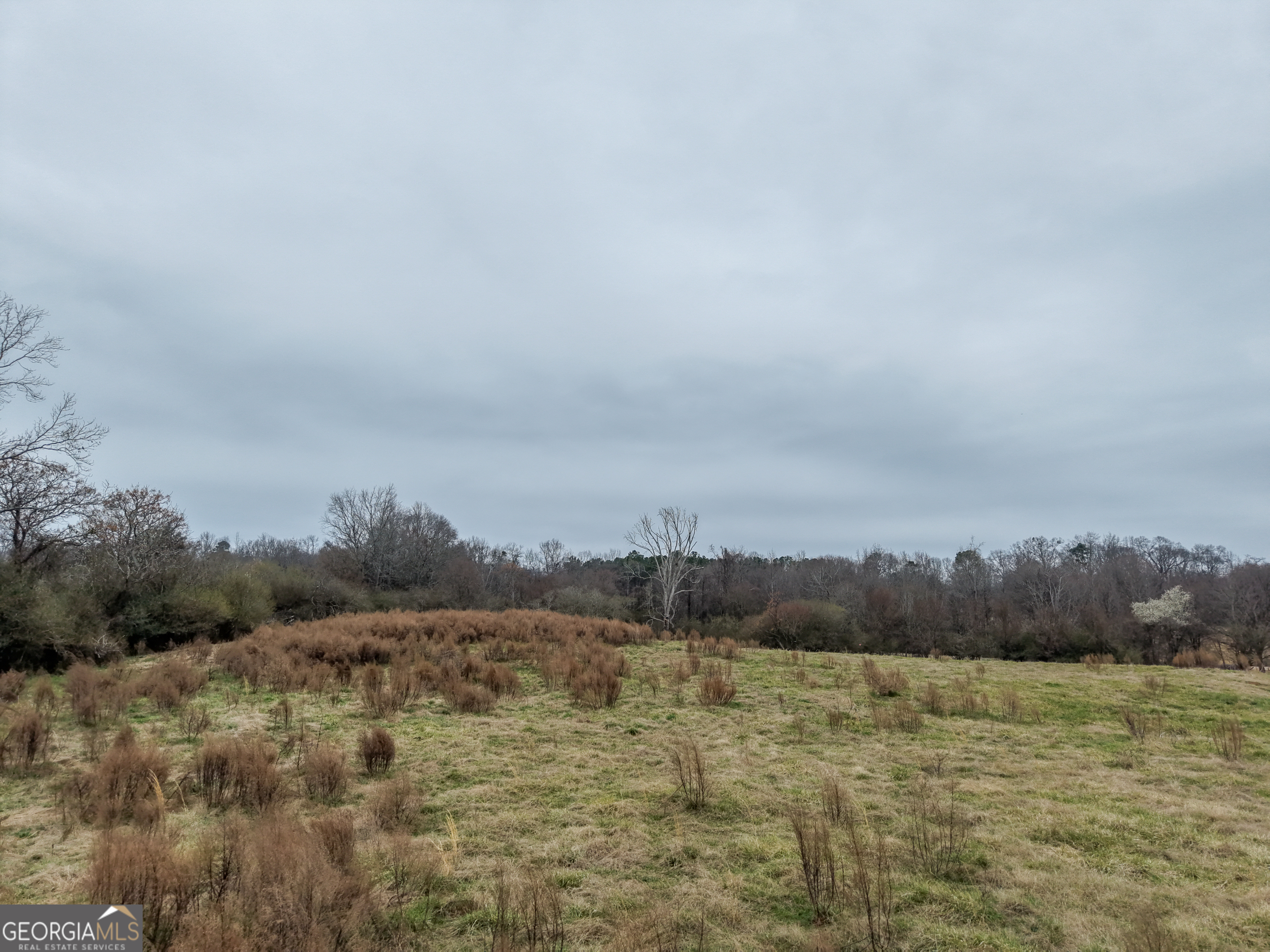 7 Red Rose Court Nicholson, GA 30565 - Photo 45 of 81