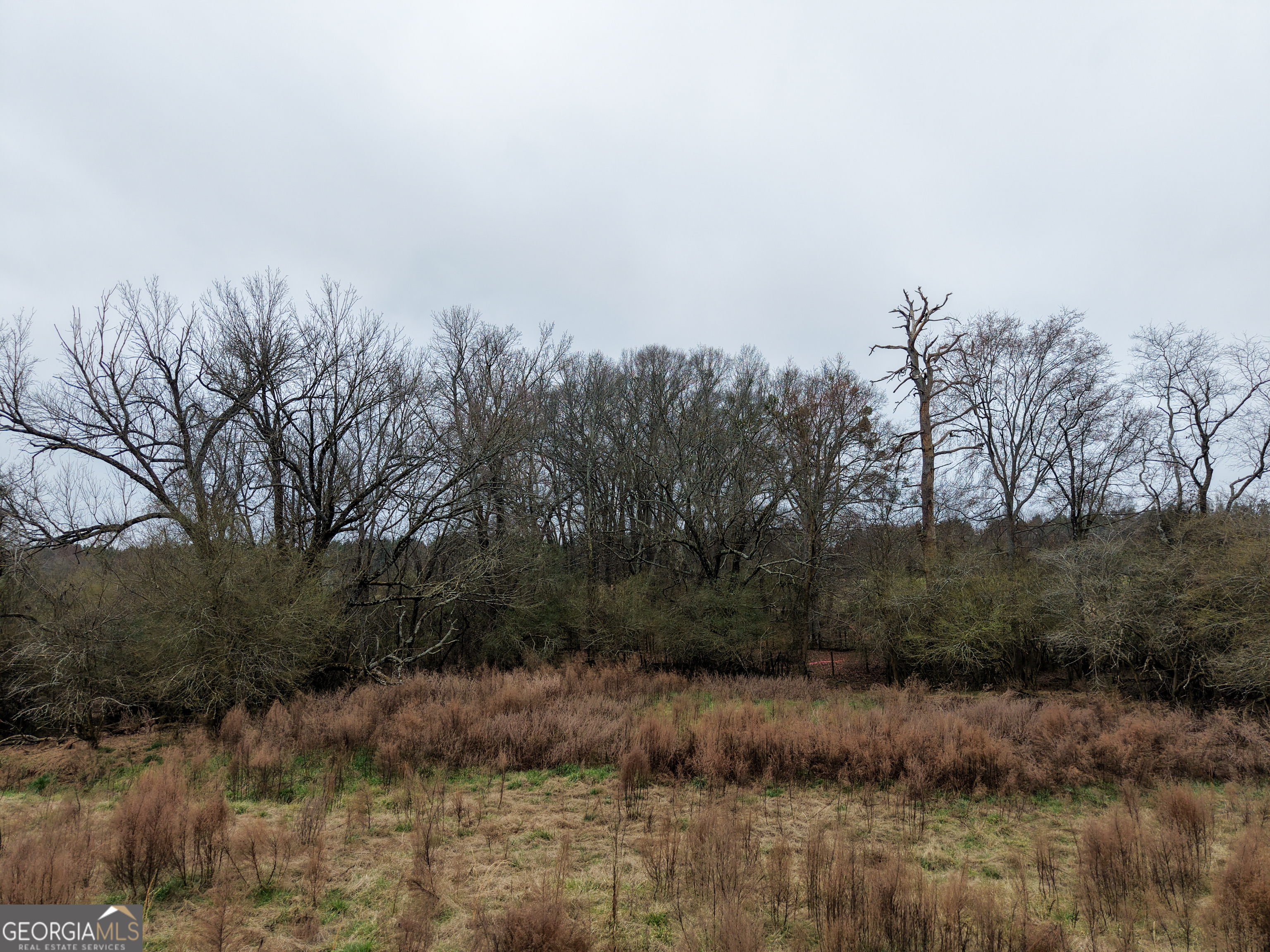 7 Red Rose Court Nicholson, GA 30565 - Photo 46 of 81 a view of river covered with trees