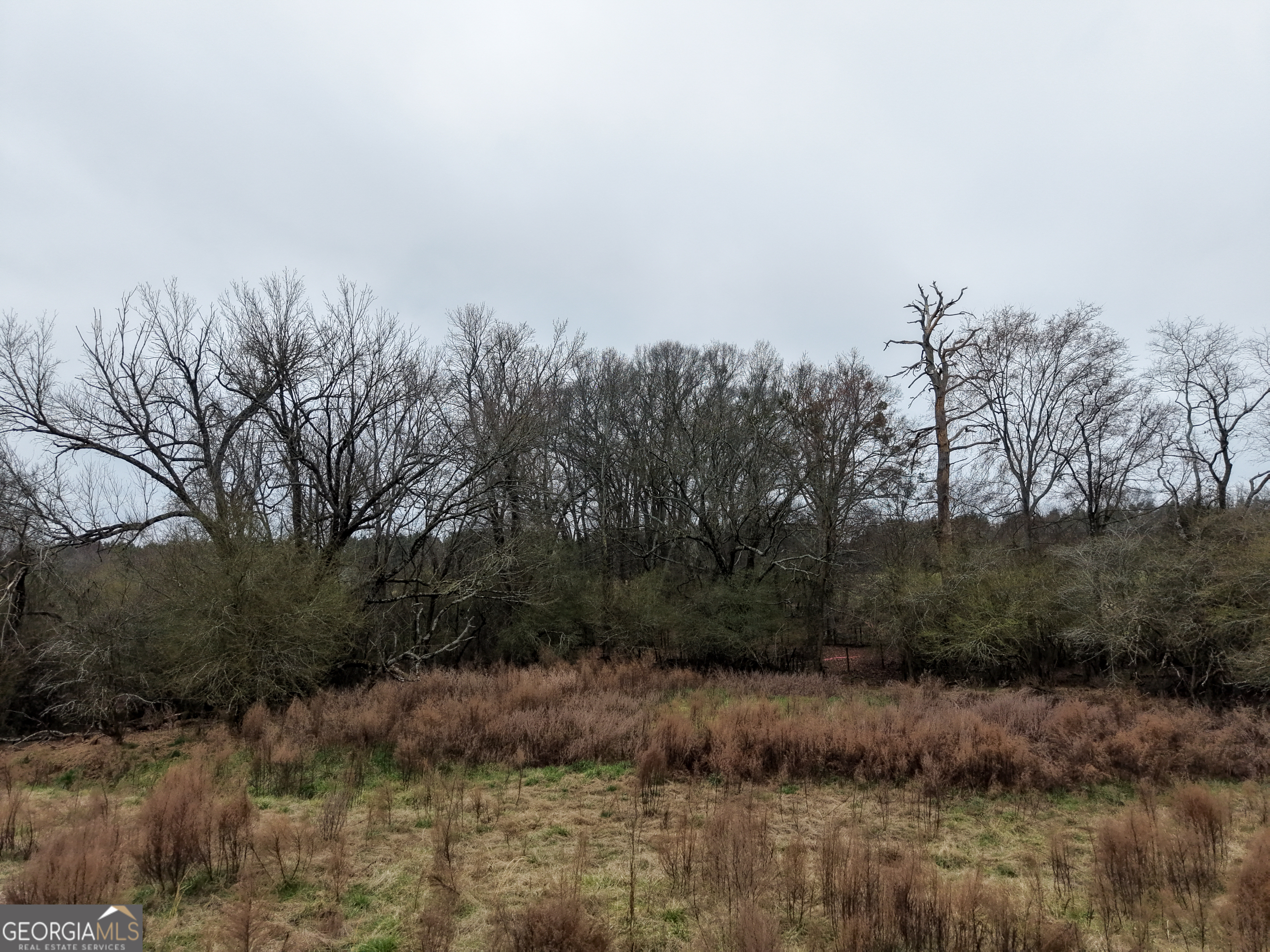 7 Red Rose Court Nicholson, GA 30565 - Photo 47 of 81 a view of river covered with trees