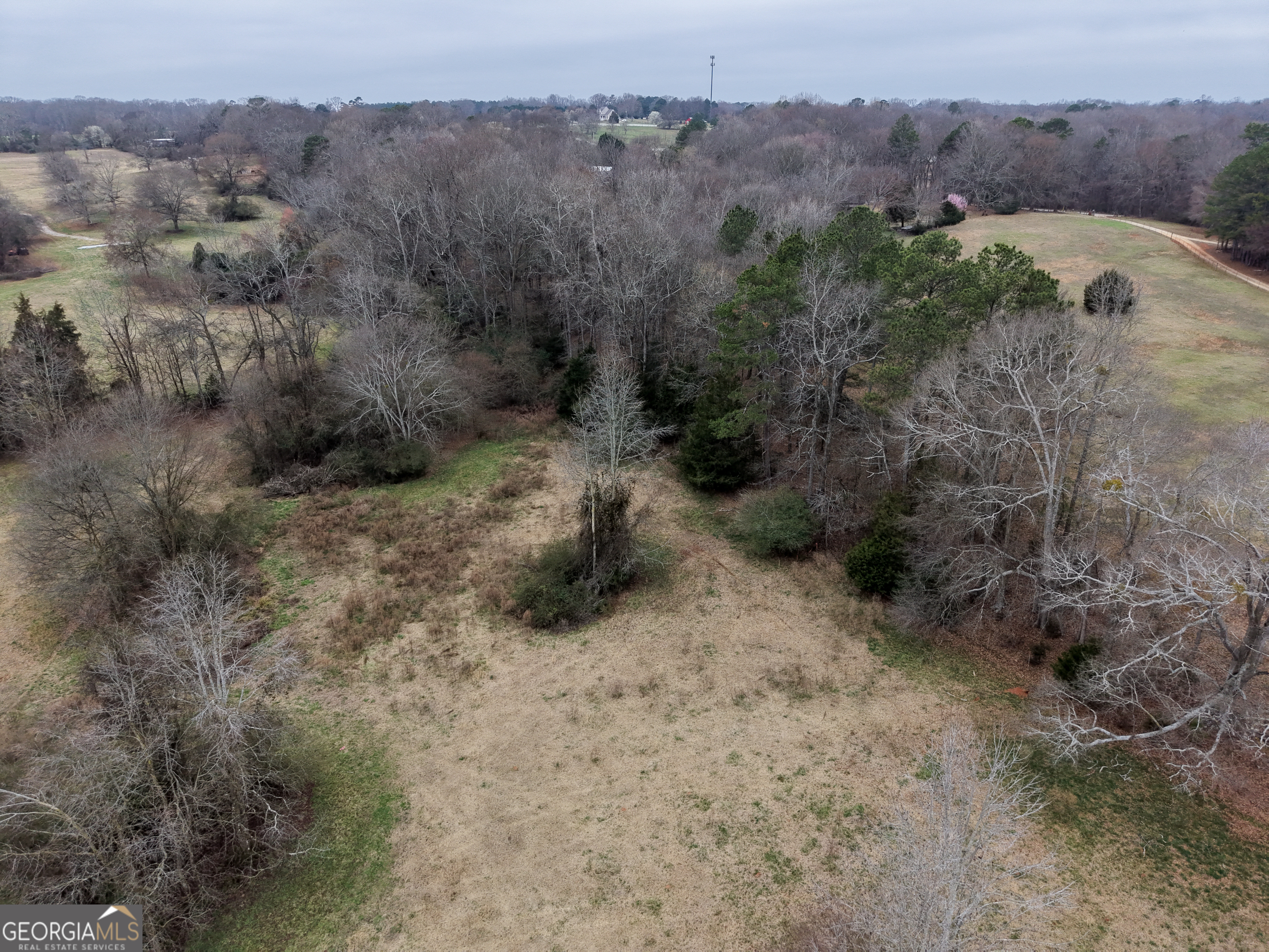 7 Red Rose Court Nicholson, GA 30565 - Photo 53 of 81 a view of a dry field with trees in the background
