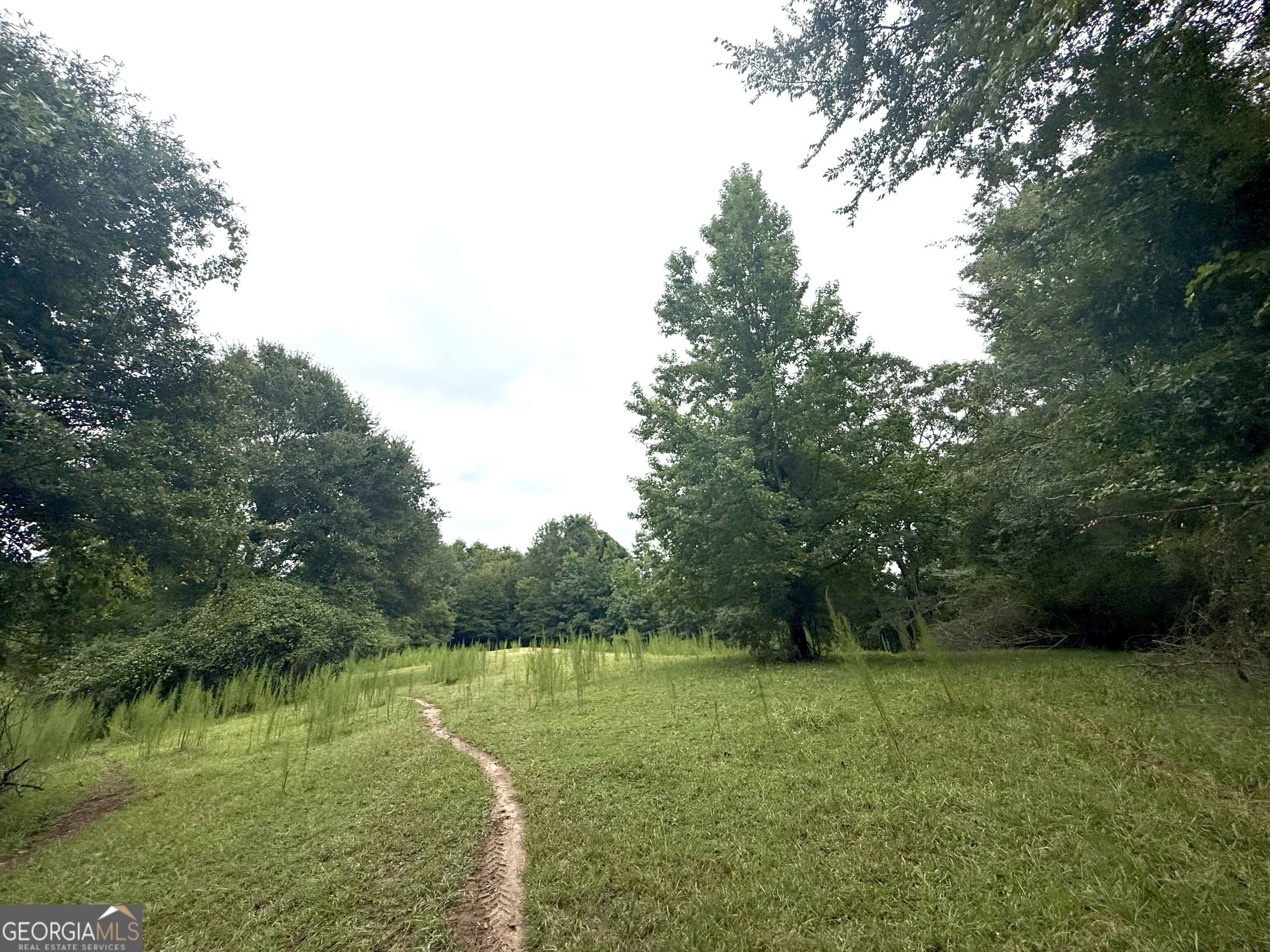 7 Red Rose Court Nicholson, GA 30565 - Photo 6 of 81