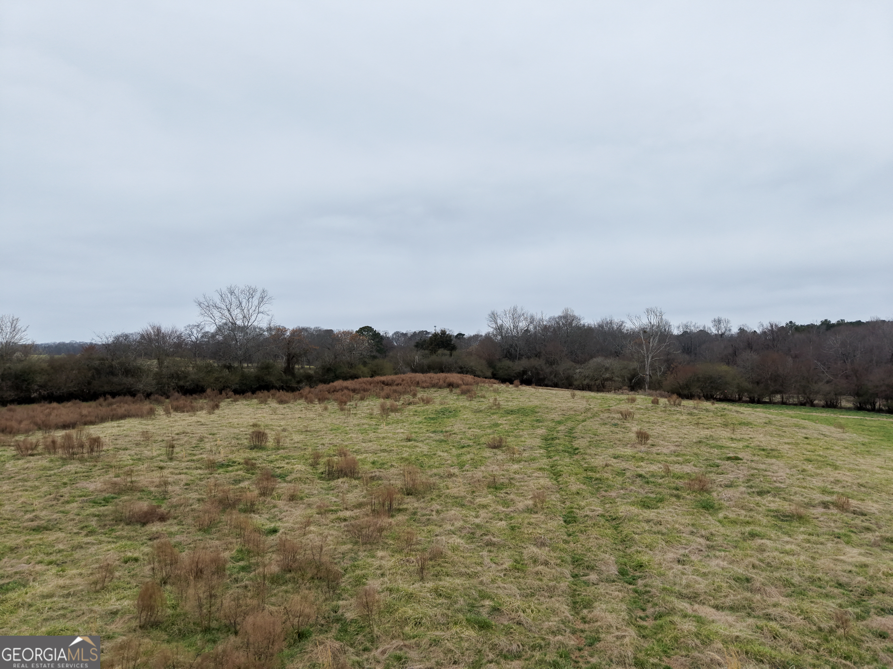 7 Red Rose Court Nicholson, GA 30565 - Photo 63 of 81