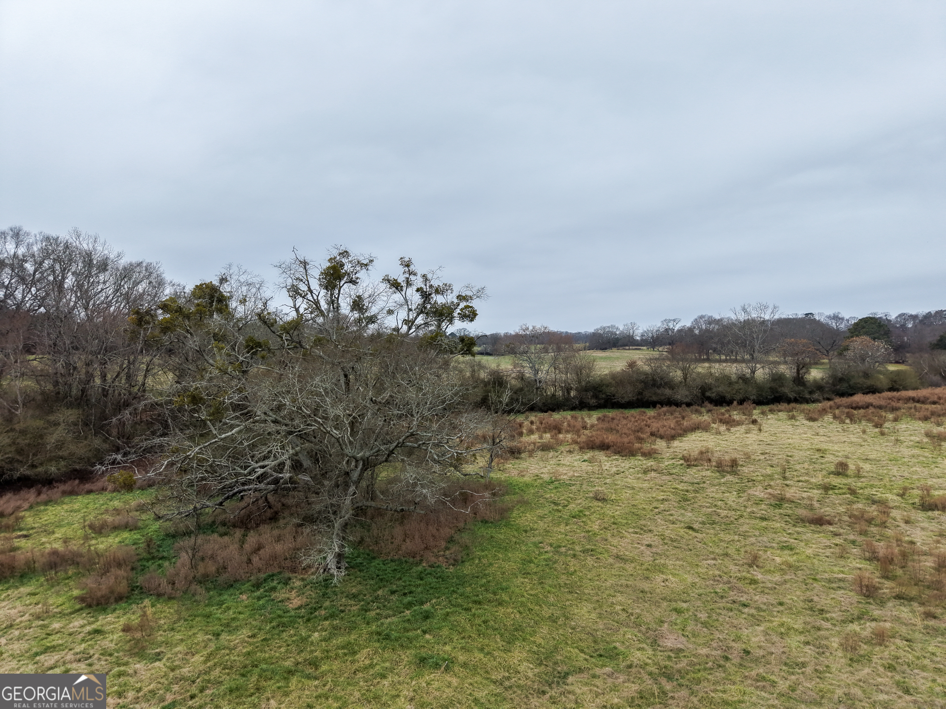 7 Red Rose Court Nicholson, GA 30565 - Photo 64 of 81