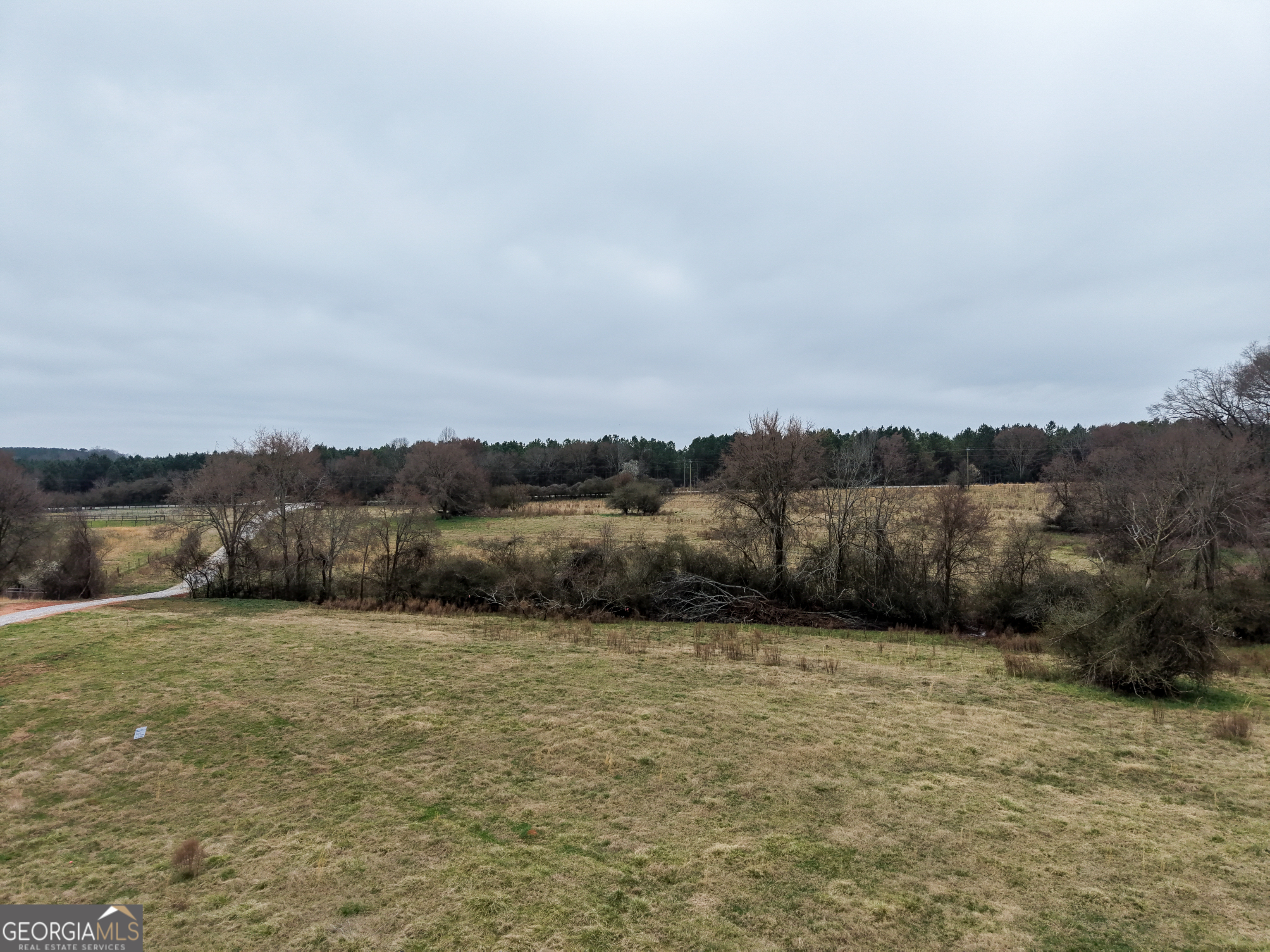 7 Red Rose Court Nicholson, GA 30565 - Photo 65 of 81 a view of a yard with an trees