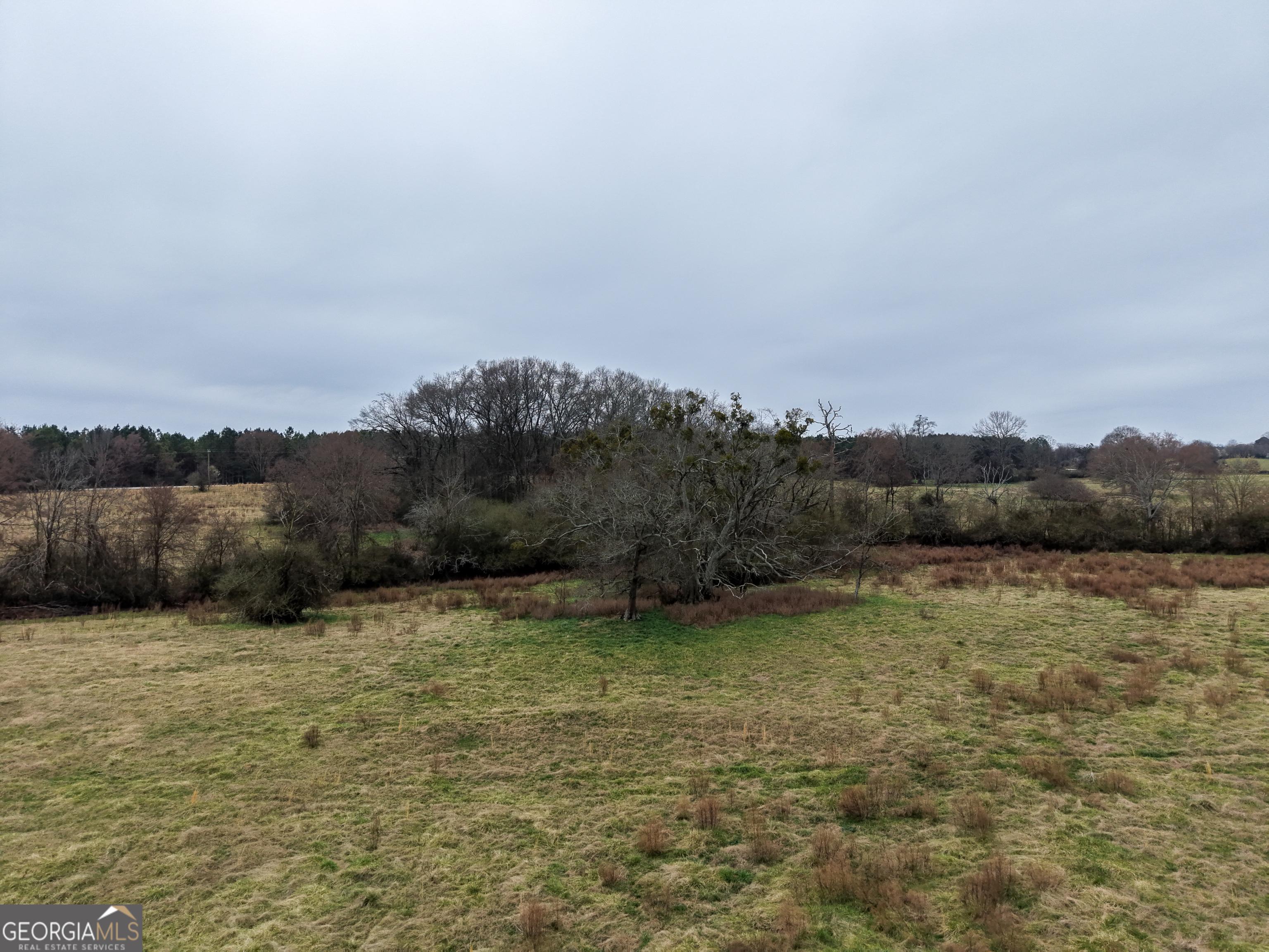 7 Red Rose Court Nicholson, GA 30565 - Photo 66 of 81