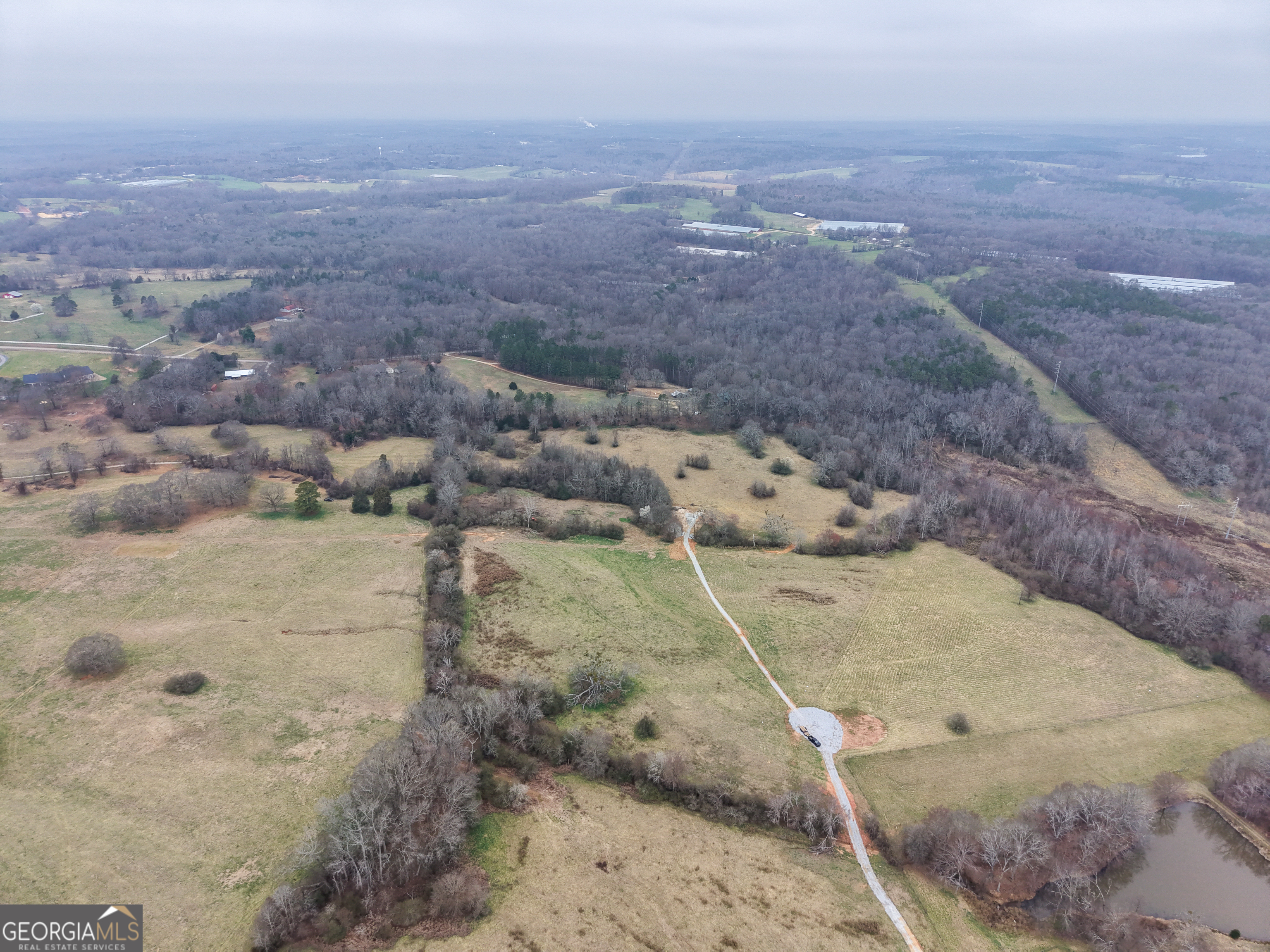 7 Red Rose Court Nicholson, GA 30565 - Photo 70 of 81 a view of lot of trees