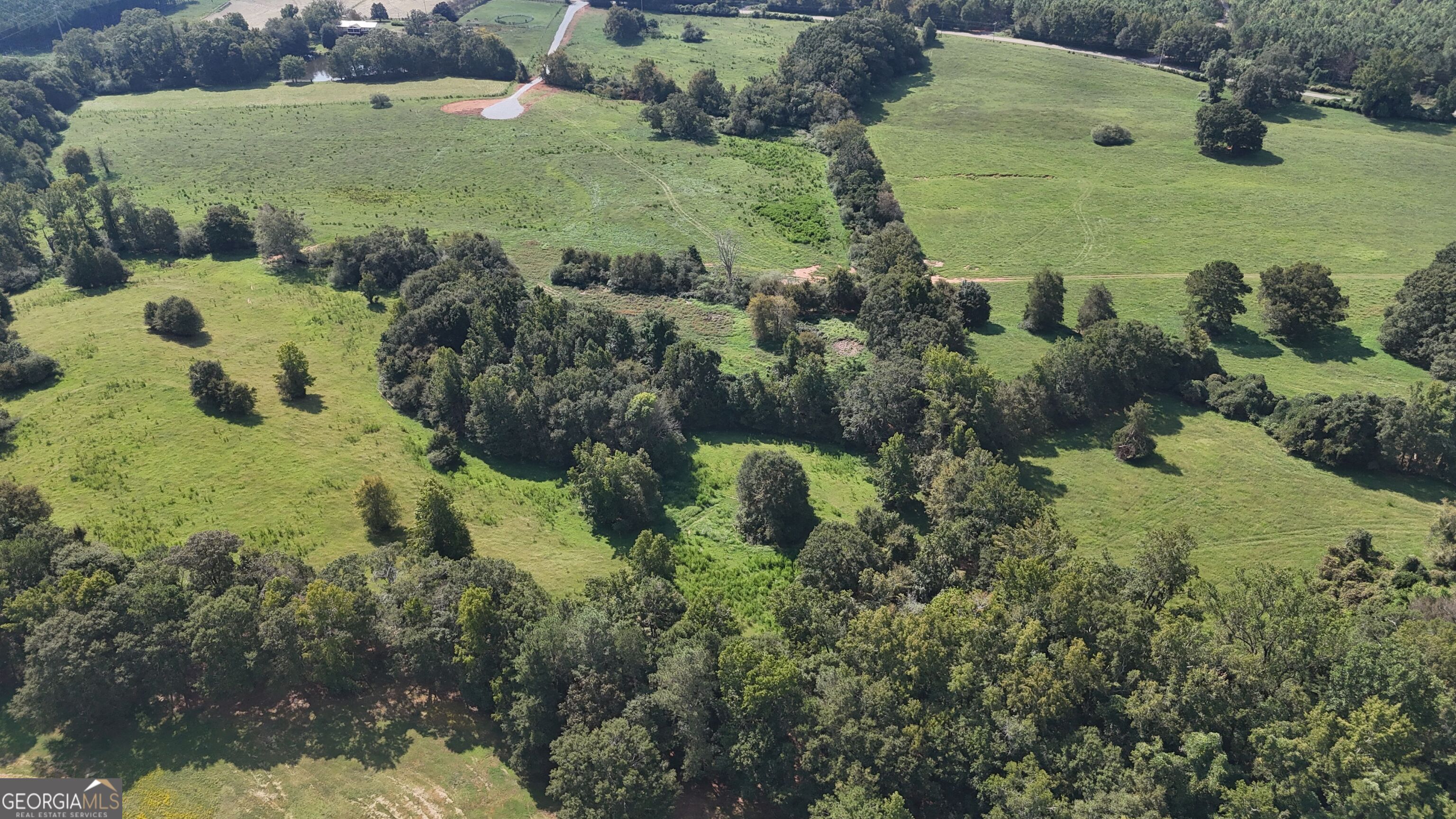 7 Red Rose Court Nicholson, GA 30565 - Photo 10 of 81