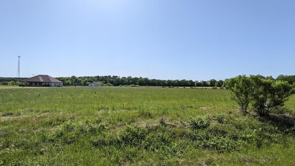 0 Suggs Rd/co Road Headland, AL 36345 - Photo 1 of 5