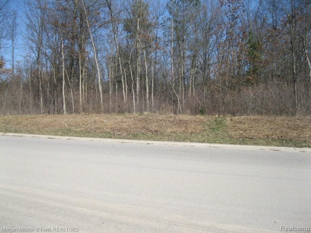 V/l Reese Road Clarkston, MI 48348 - Photo 4 of 24 002.JPG
