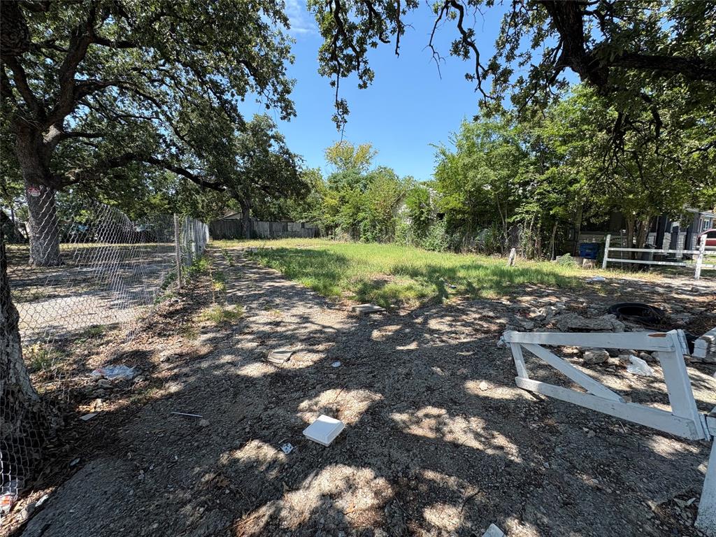 4207 Hamilton Avenue Dallas, TX 75210 - Photo 2 of 4 a view of a yard with plants and trees