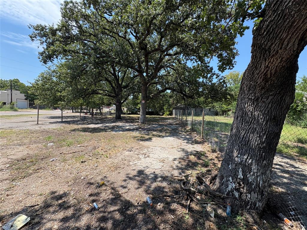 4207 Hamilton Avenue Dallas, TX 75210 - Photo 3 of 4 a backyard of a house with lots of green space
