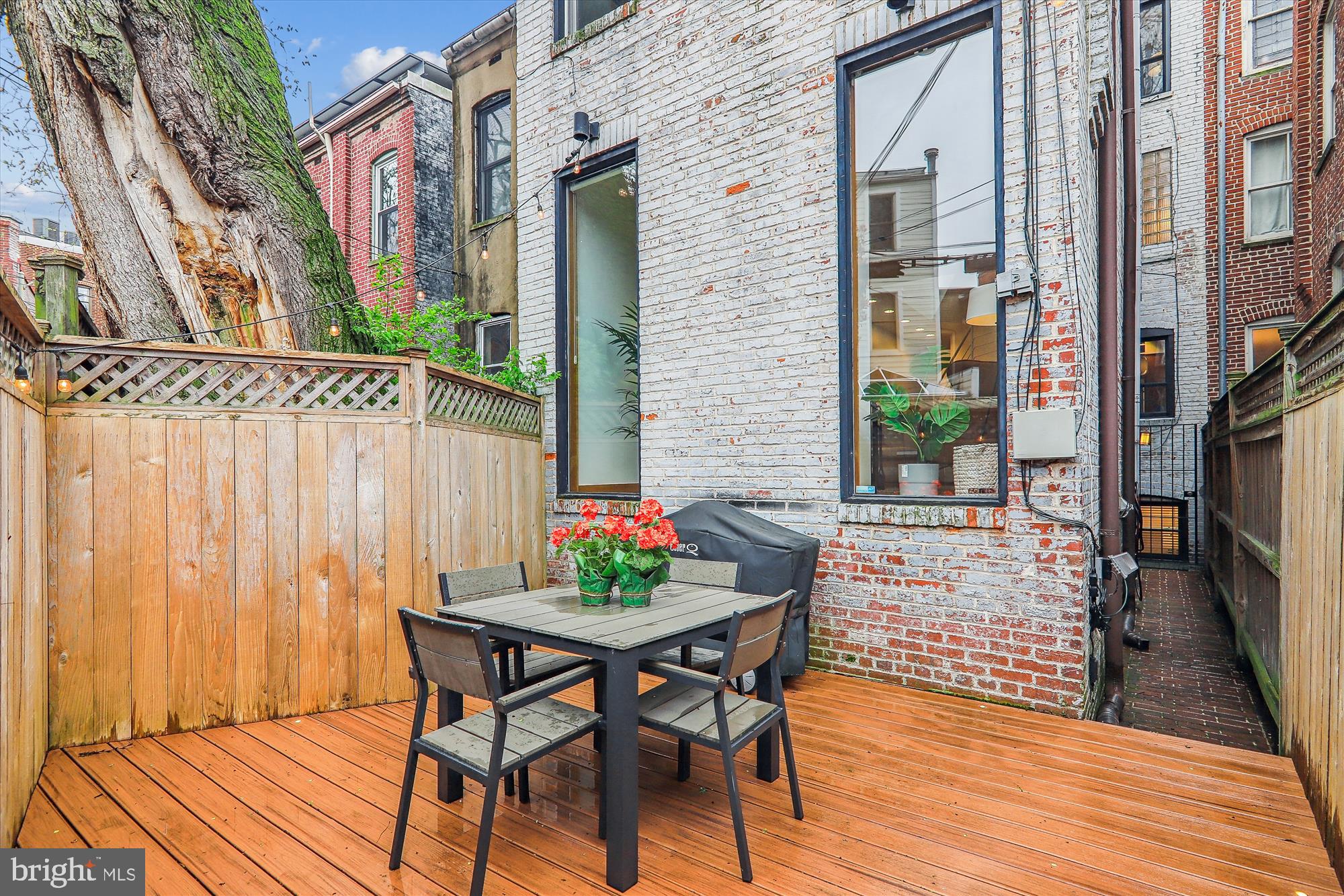 125 12th Street Northeast Washington, DC 20002 - Photo 59 of 63 Back Yard