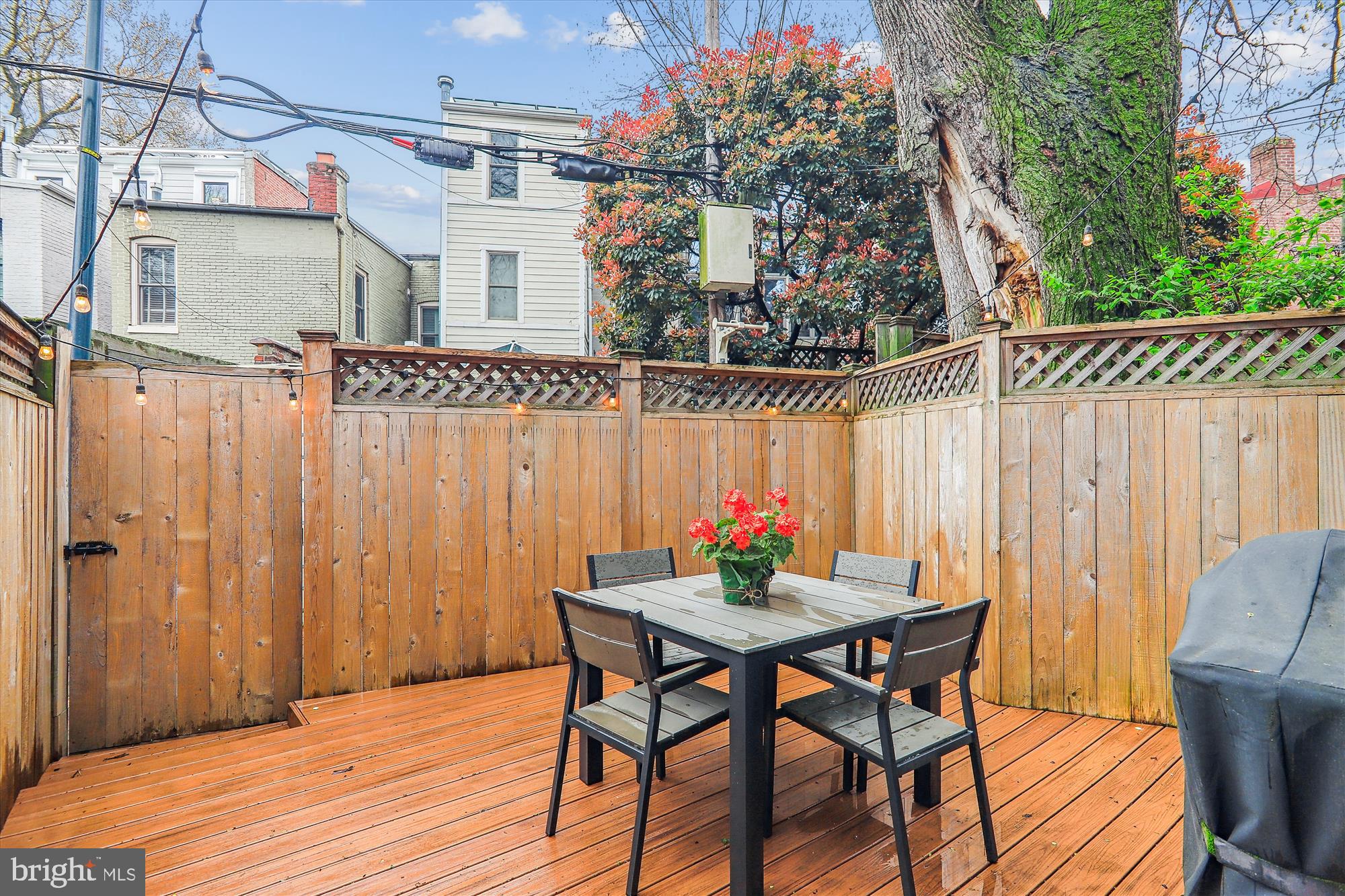 125 12th Street Northeast Washington, DC 20002 - Photo 60 of 63 Back Yard