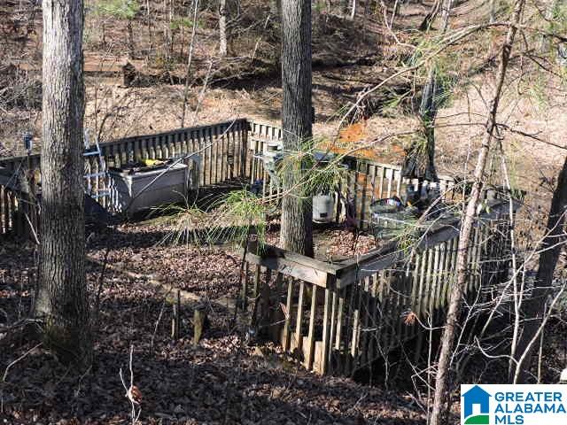 Meadowlane Drive Wedowee, AL 36278 - Photo 2 of 5