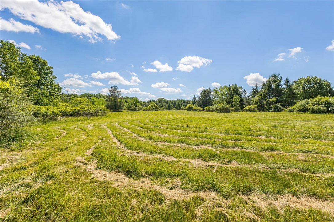 117 Amann Road Mendon, NY 14472 - Photo 36 of 43
