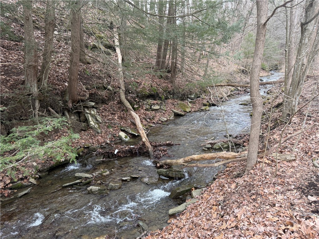 10 Weaver Creek Road Erwin, NY 14870 - Photo 6 of 22