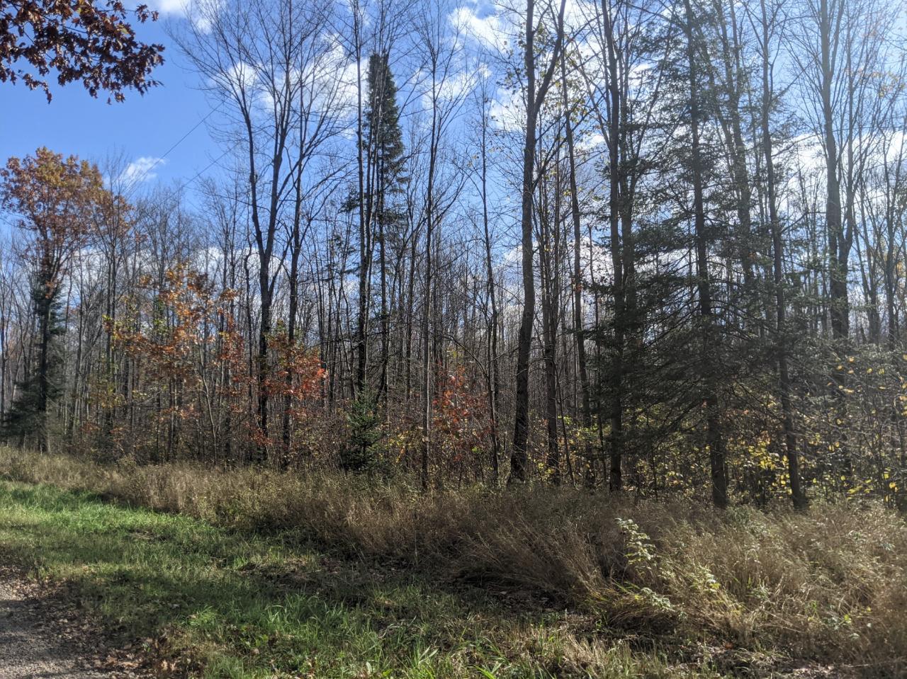 On Beam Road Hawkins, WI 54530 - Photo 19 of 19 Gallery Image 19