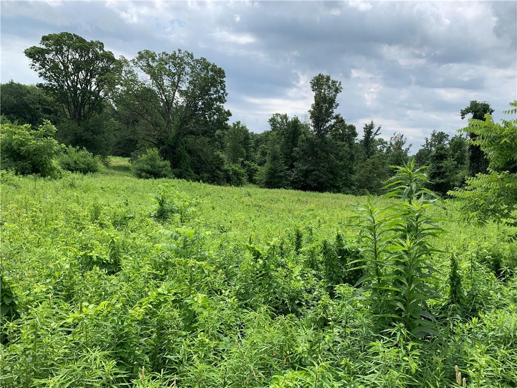 Lot #3 Antler Ridge/dutch Ridge Road Beaver, PA 15009 - Photo 3 of 10 a view of a green field with lots of bushes