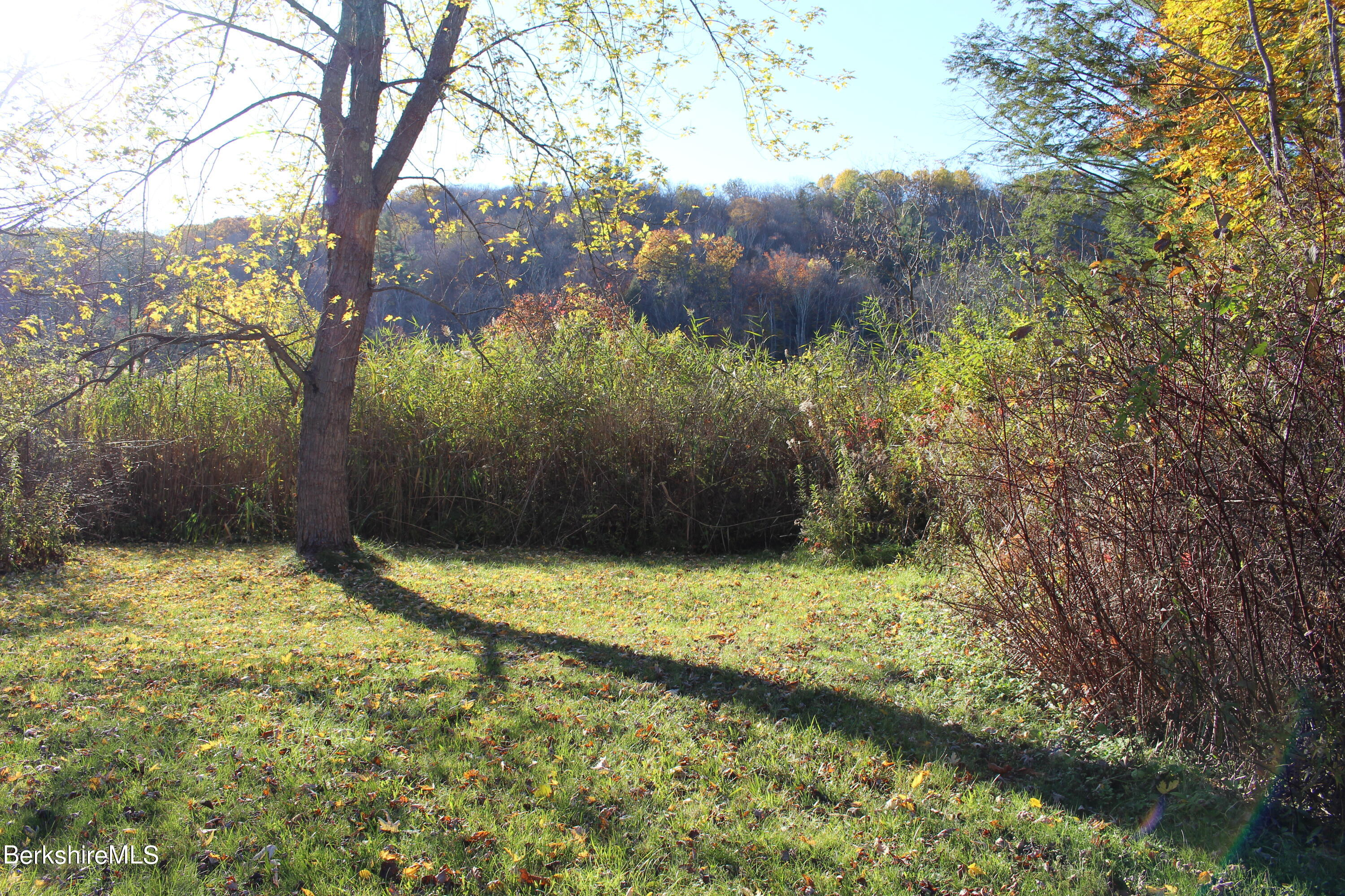 1 Pittsfield Road Lenox, MA 01240 - Photo 11 of 14 a view of a yard with a tree