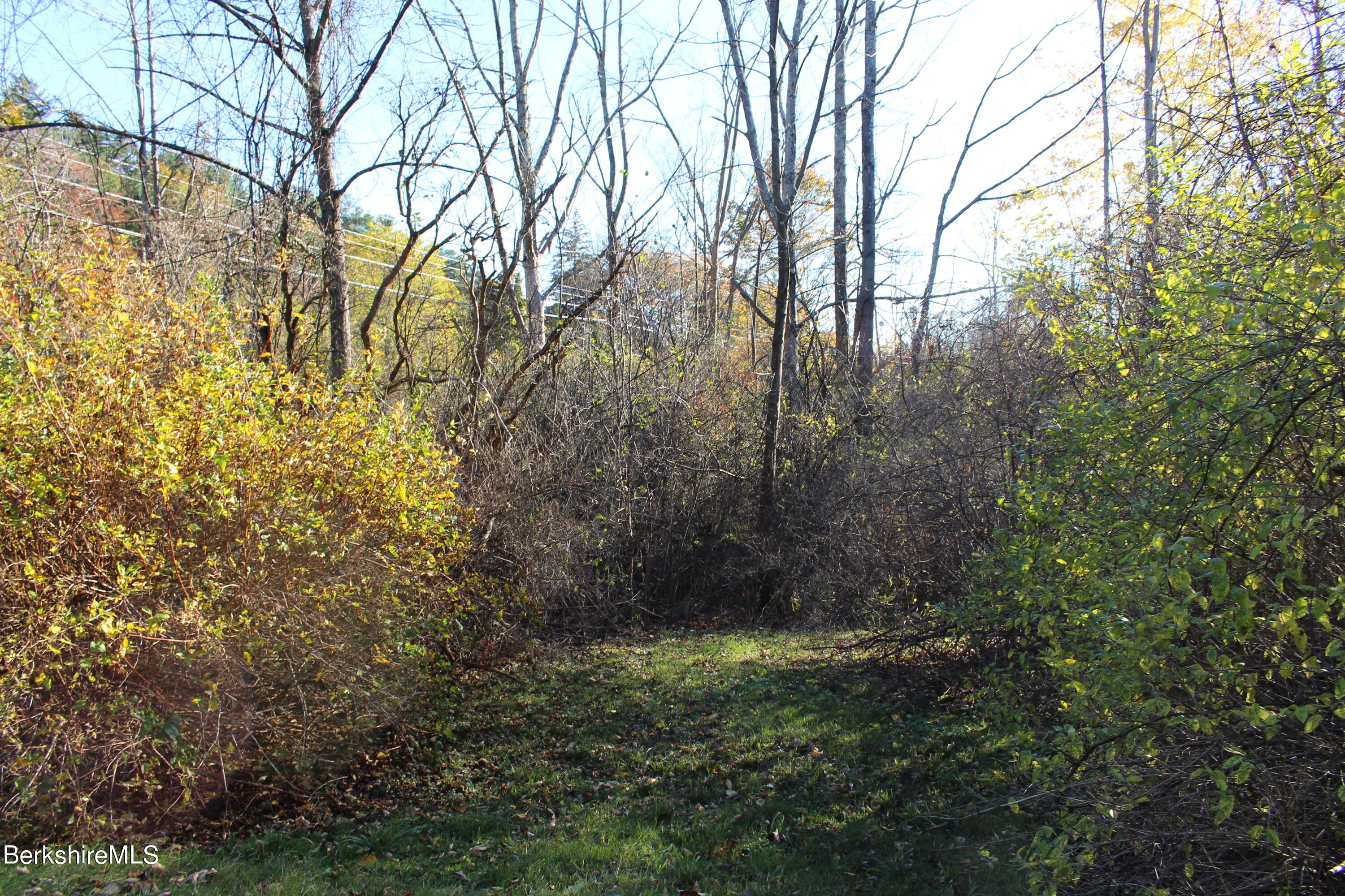 1 Pittsfield Road Lenox, MA 01240 - Photo 7 of 14 a view of a yard with large trees