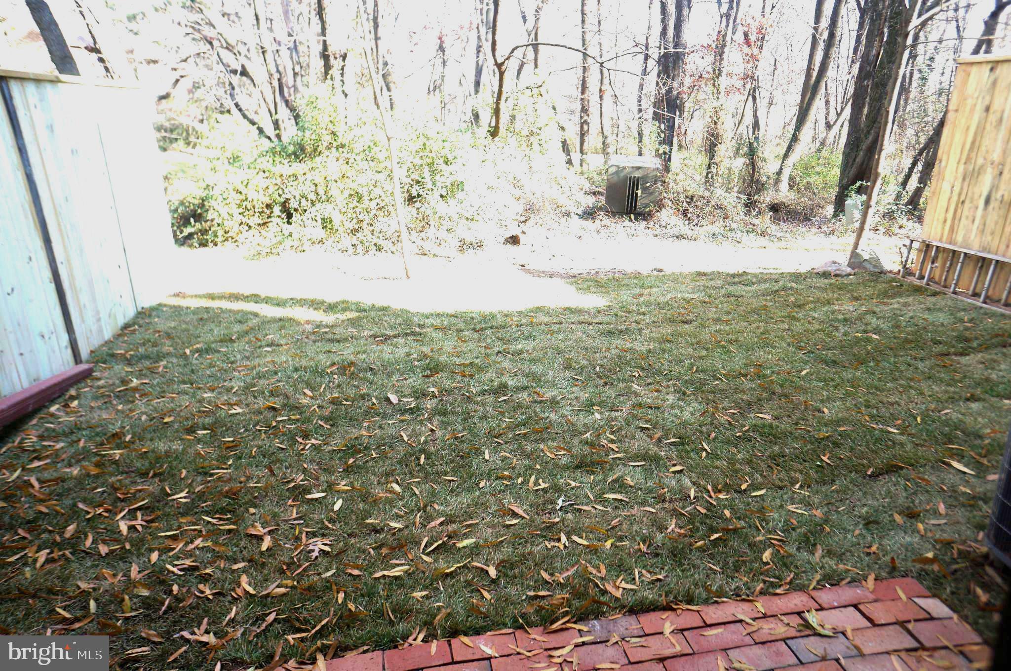 1784 Wainwright Drive Reston, VA 20190 - Photo 30 of 31 Backyard