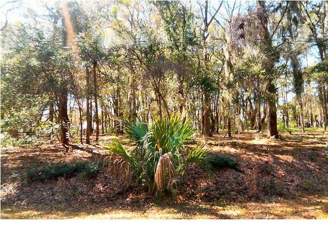 8679 Palmetto Road Edisto Island, SC 29438 - Photo 2 of 4 Additional Photo