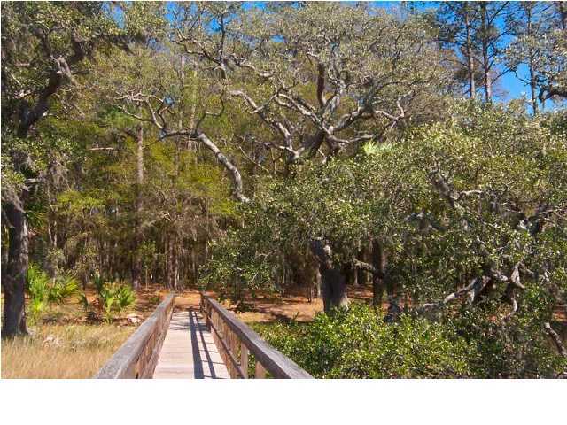 8679 Palmetto Road Edisto Island, SC 29438 - Photo 4 of 4 Additional Photo