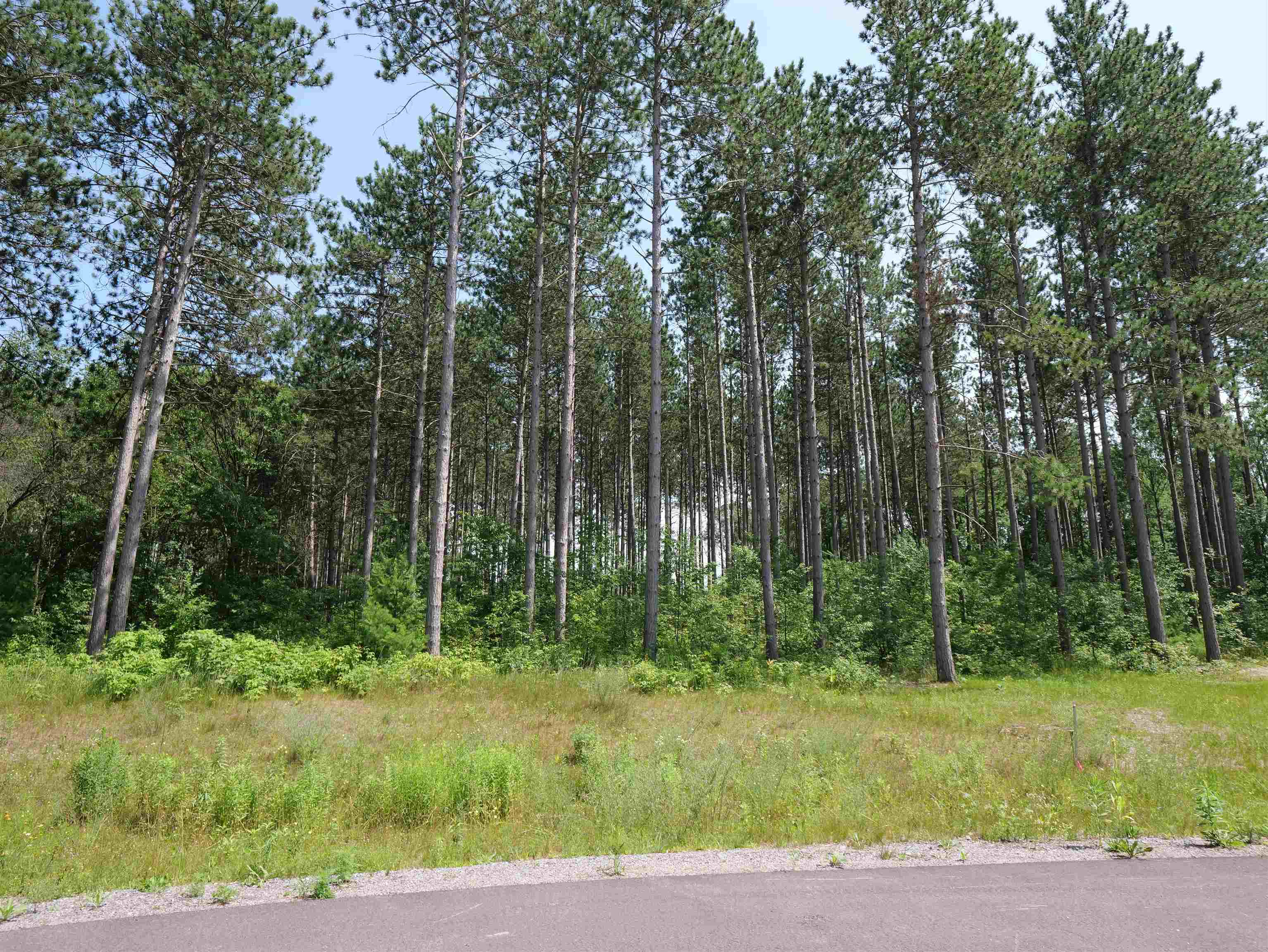 Lot 6 Two Sisters Court Stevens Point, WI 54482 - Photo 1 of 9