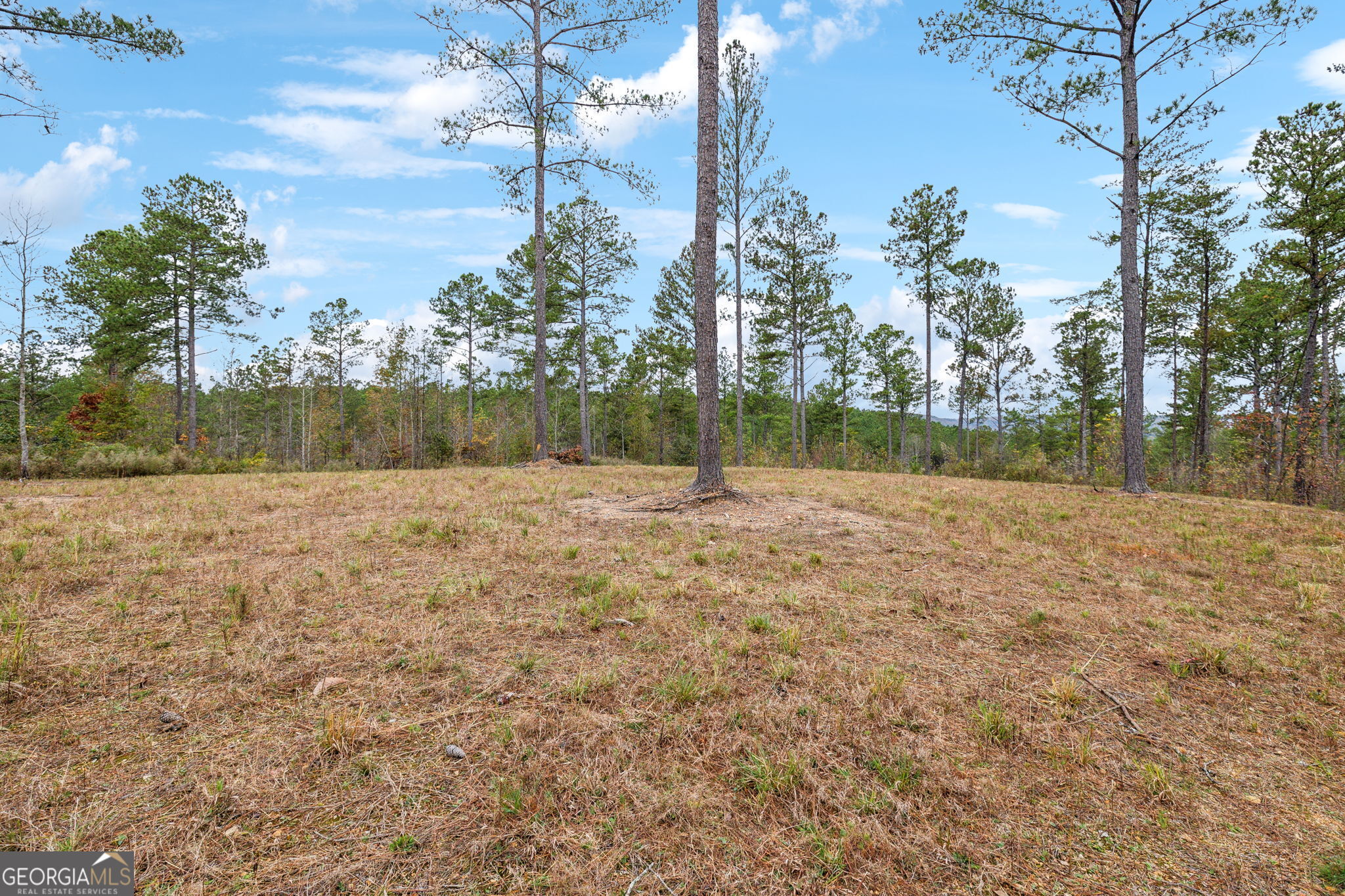 0 Josh Ward Road Summerville, GA 30747 - Photo 13 of 27 a backyard of a house with lots of green space