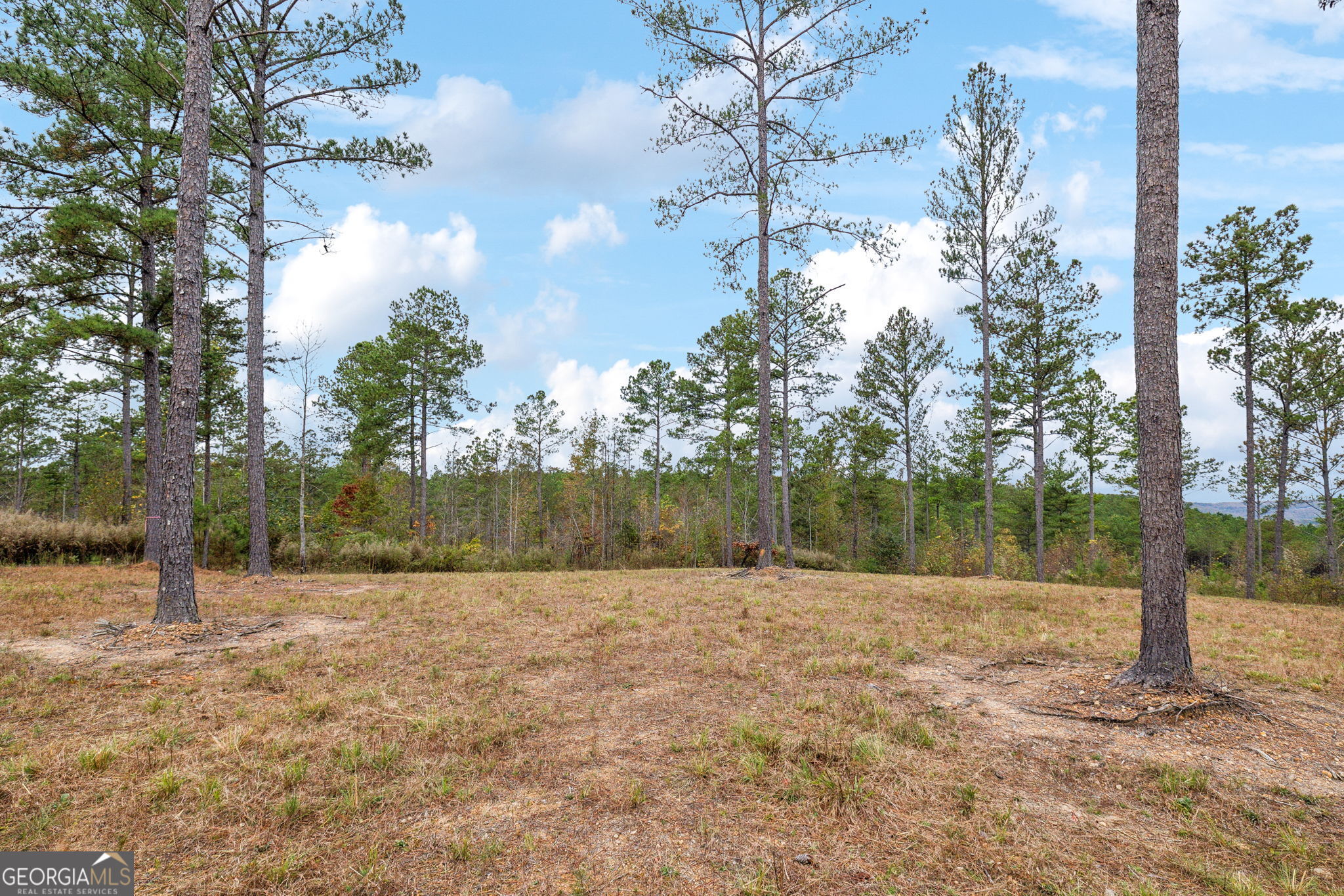 0 Josh Ward Road Summerville, GA 30747 - Photo 14 of 27 a view of backyard with tree