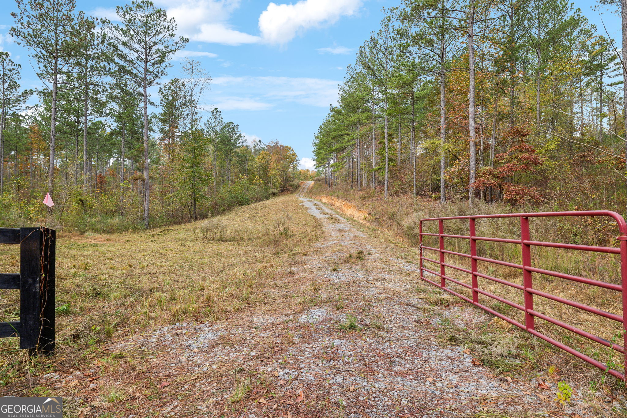 0 Josh Ward Road Summerville, GA 30747 - Photo 15 of 27 a view of a yard with wooden fence