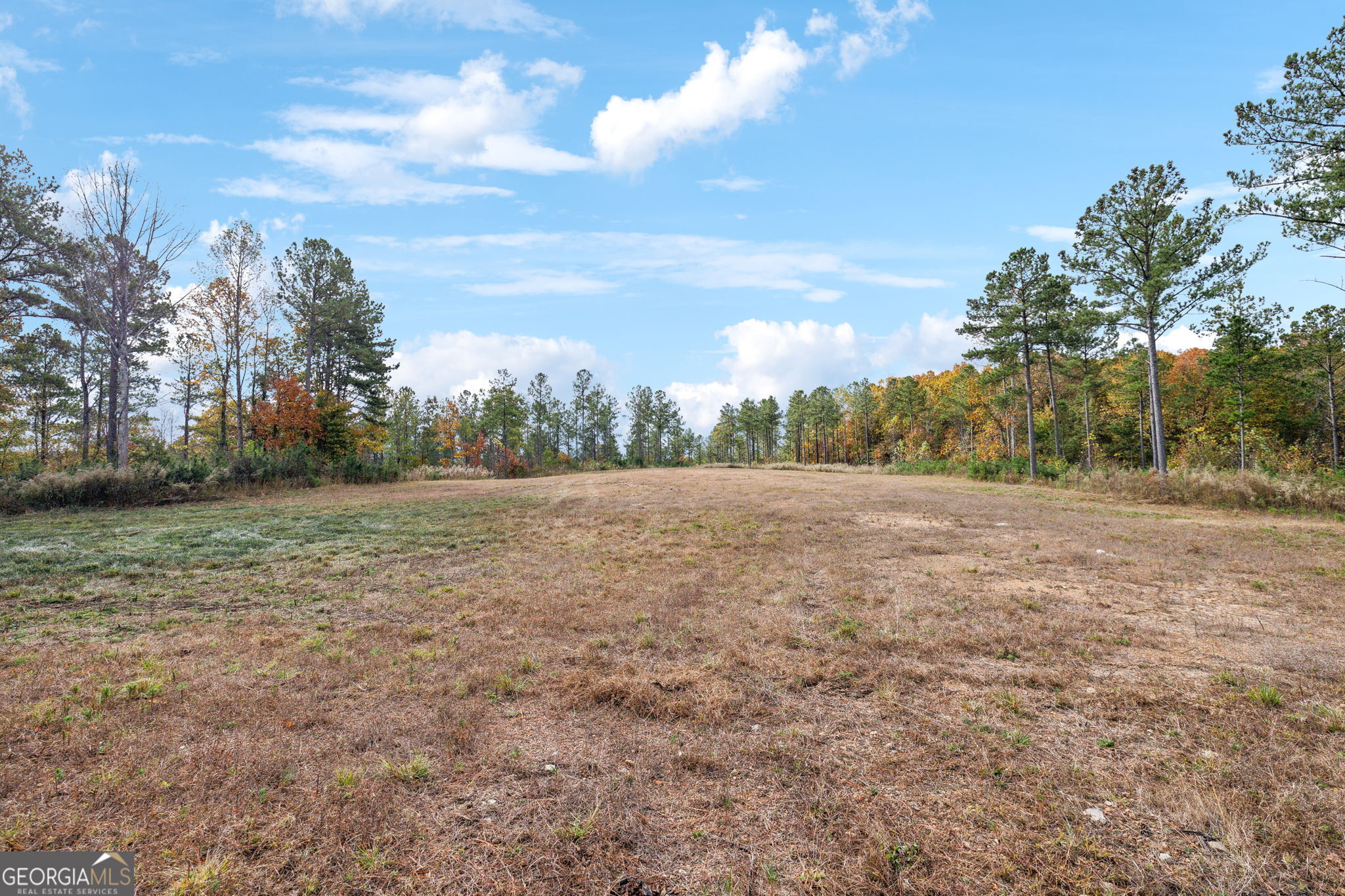 0 Josh Ward Road Summerville, GA 30747 - Photo 16 of 27 a view of dirt field with trees