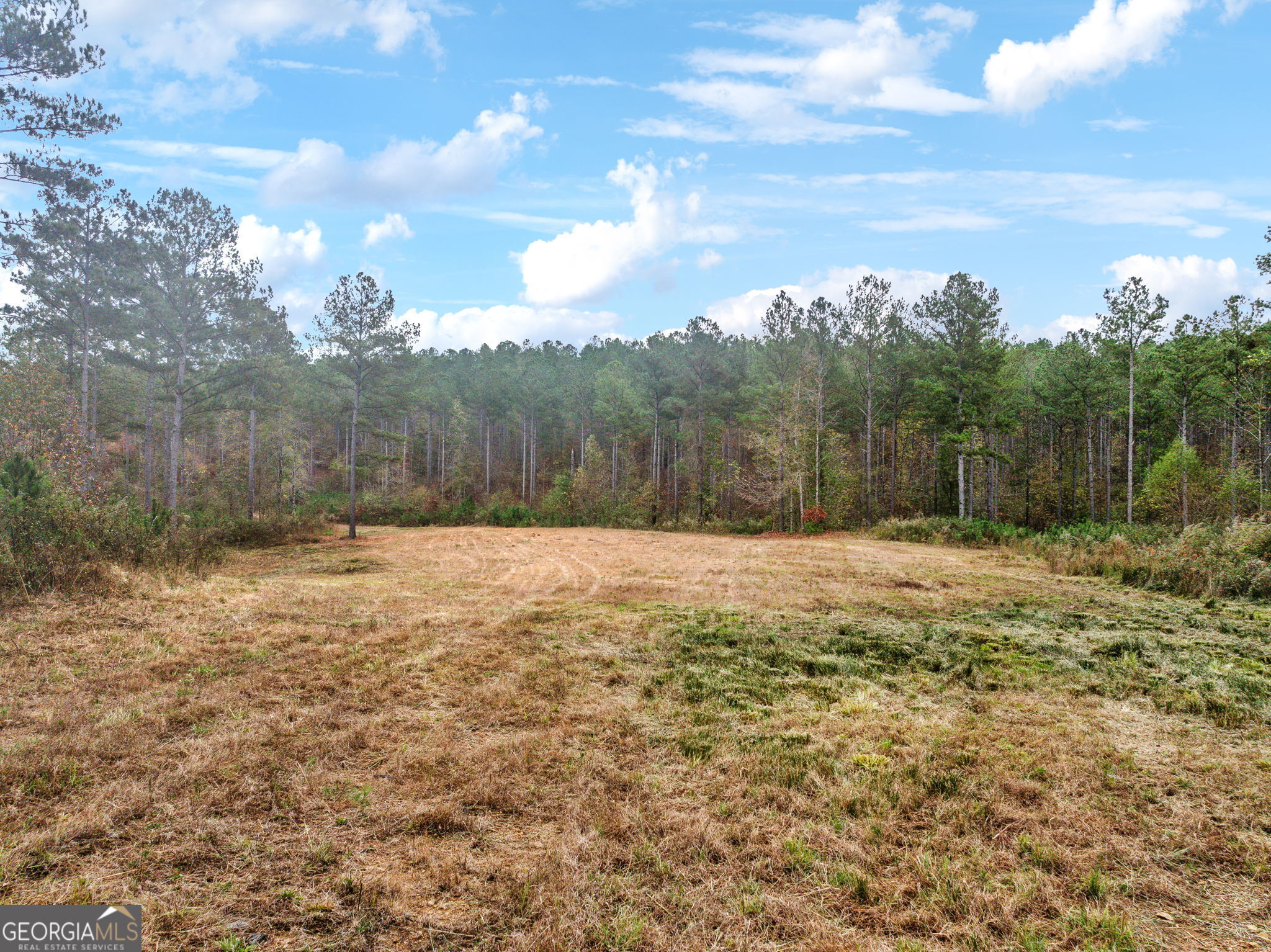 0 Josh Ward Road Summerville, GA 30747 - Photo 18 of 27 a view of outdoor space and yard