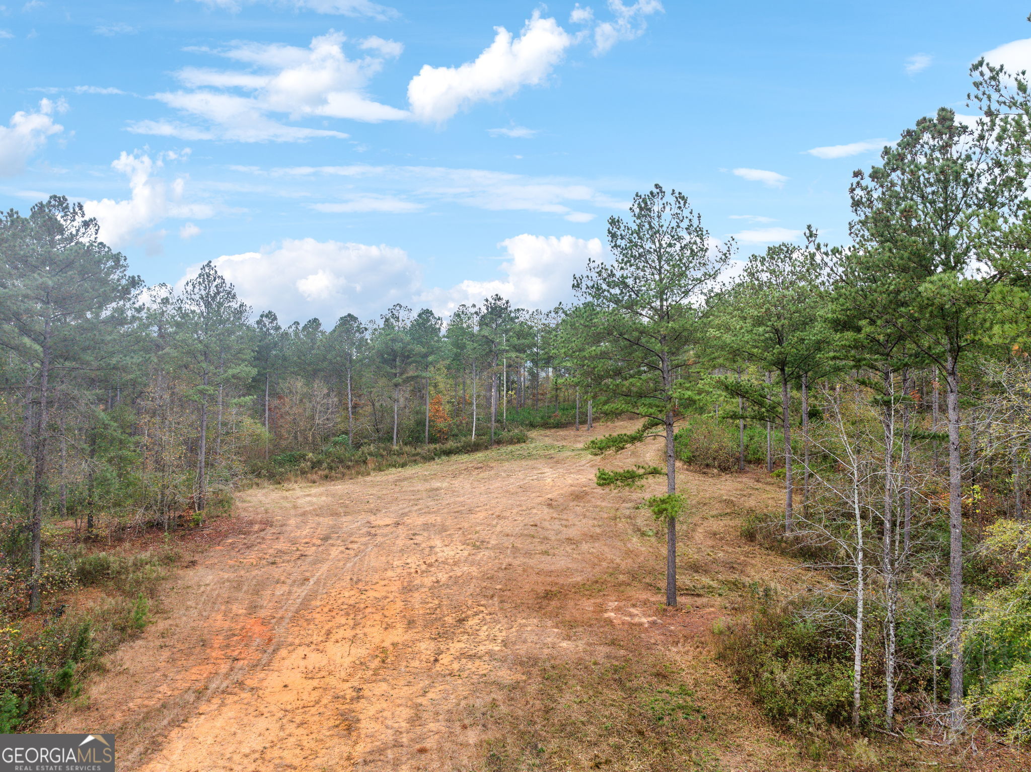 0 Josh Ward Road Summerville, GA 30747 - Photo 19 of 27 a view of a yard with a tree
