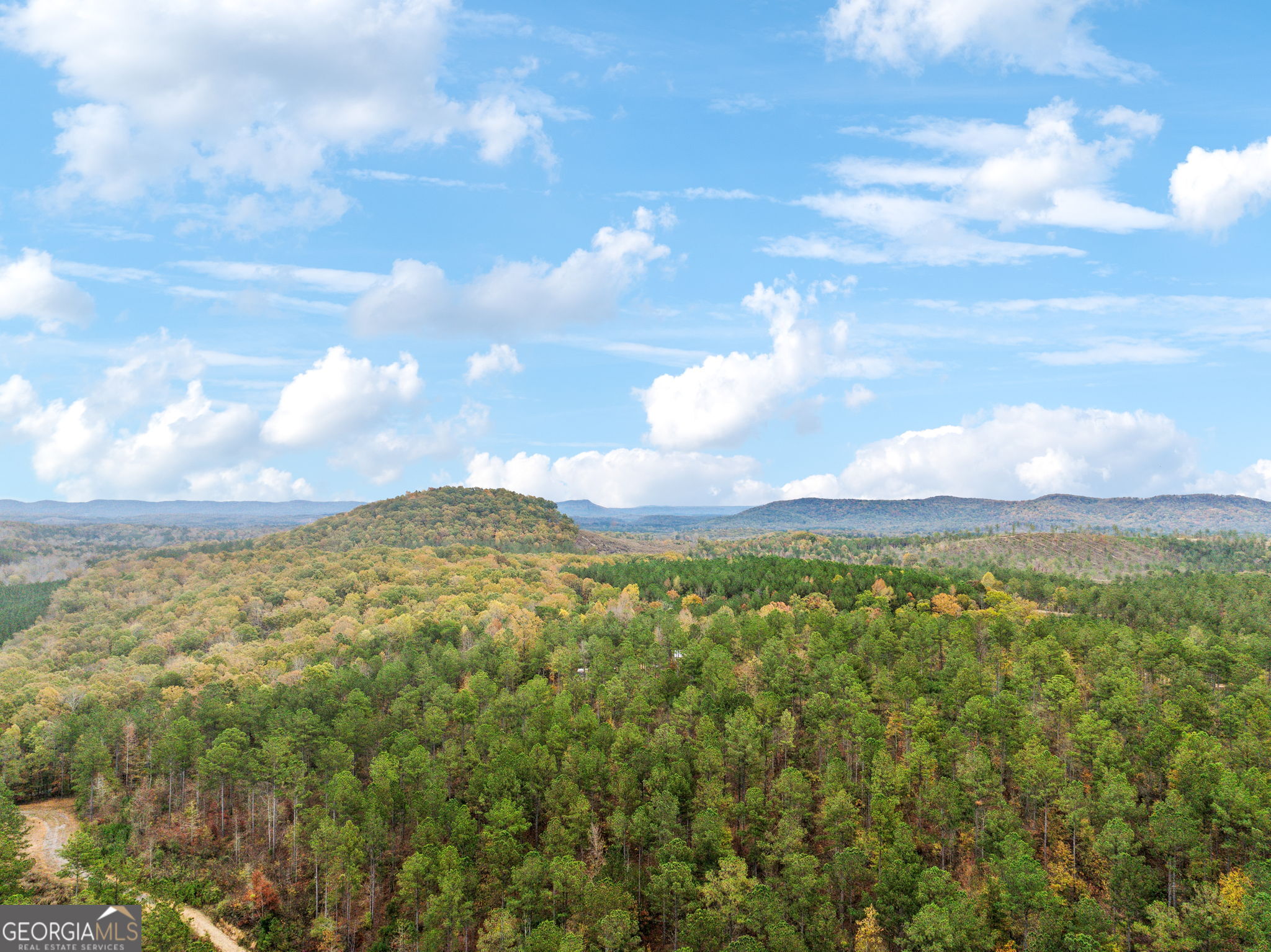 0 Josh Ward Road Summerville, GA 30747 - Photo 20 of 27 a view of a city with lush green forest