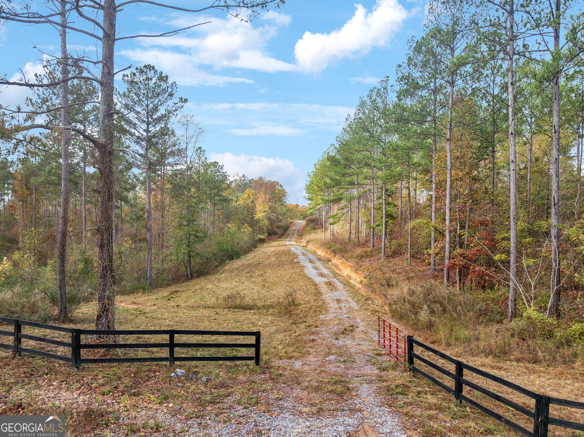 0 Josh Ward Road Summerville, GA 30747 - Photo 2 of 27 a view of a bench in a yard