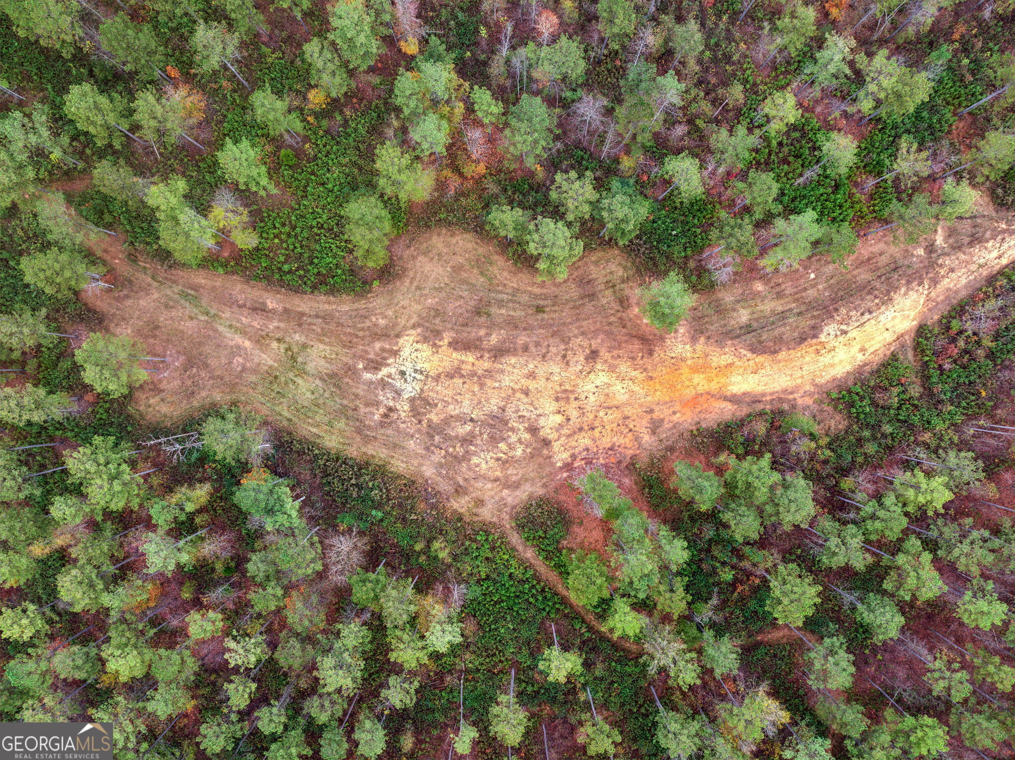 0 Josh Ward Road Summerville, GA 30747 - Photo 21 of 27 a view of a forest with a tree